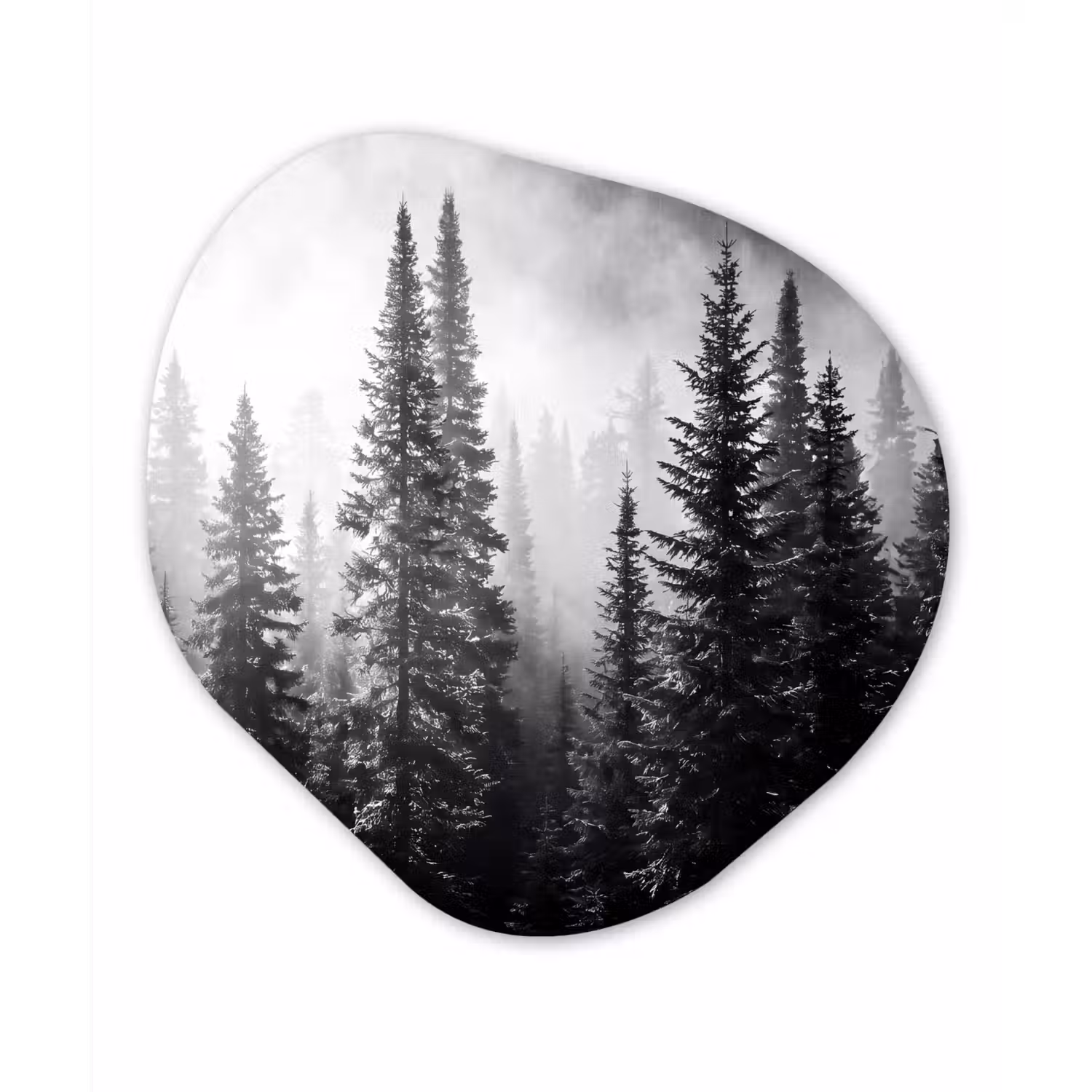 Bos - Mist - Winter - Monochroom - Natuur Wandcirkel Organisch Aluminium middel -3d