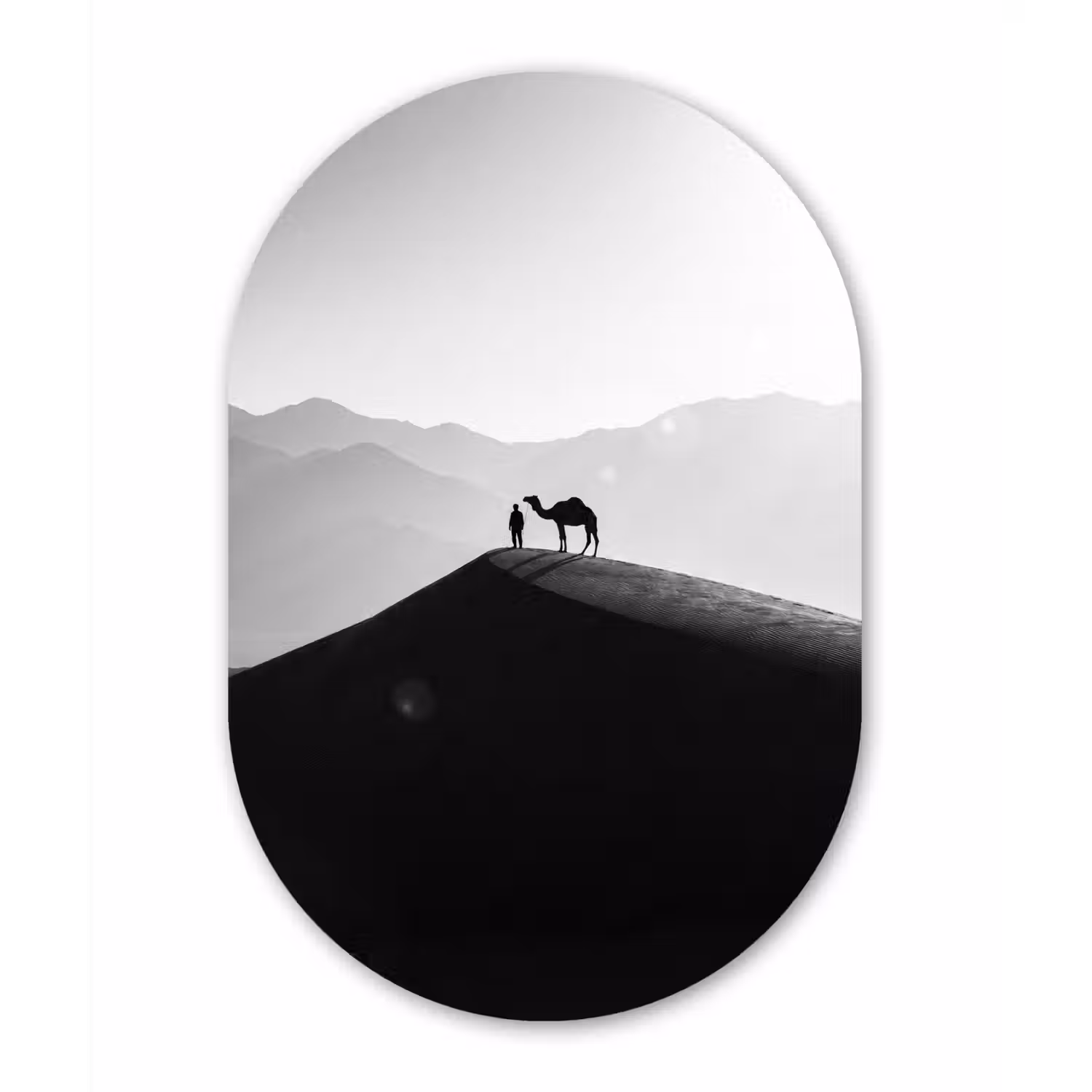 Mens - Kameel - Zandduin - Natuur - Monochroom Wandcirkel Ovaal Aluminium middel -3d