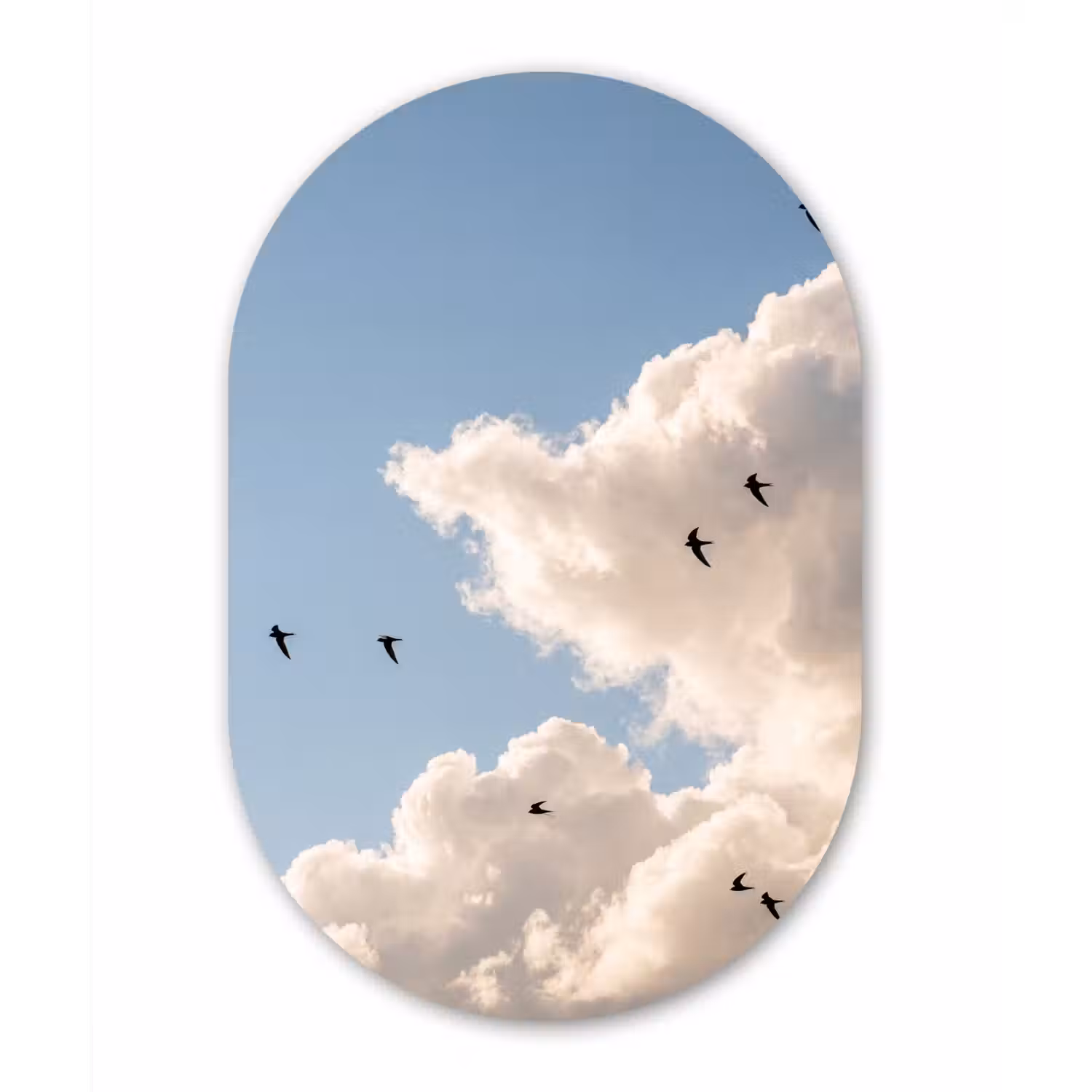 Vogel - Vlucht - Wolken - Natuur - Blauw Wandcirkel Ovaal Aluminium middel -3d