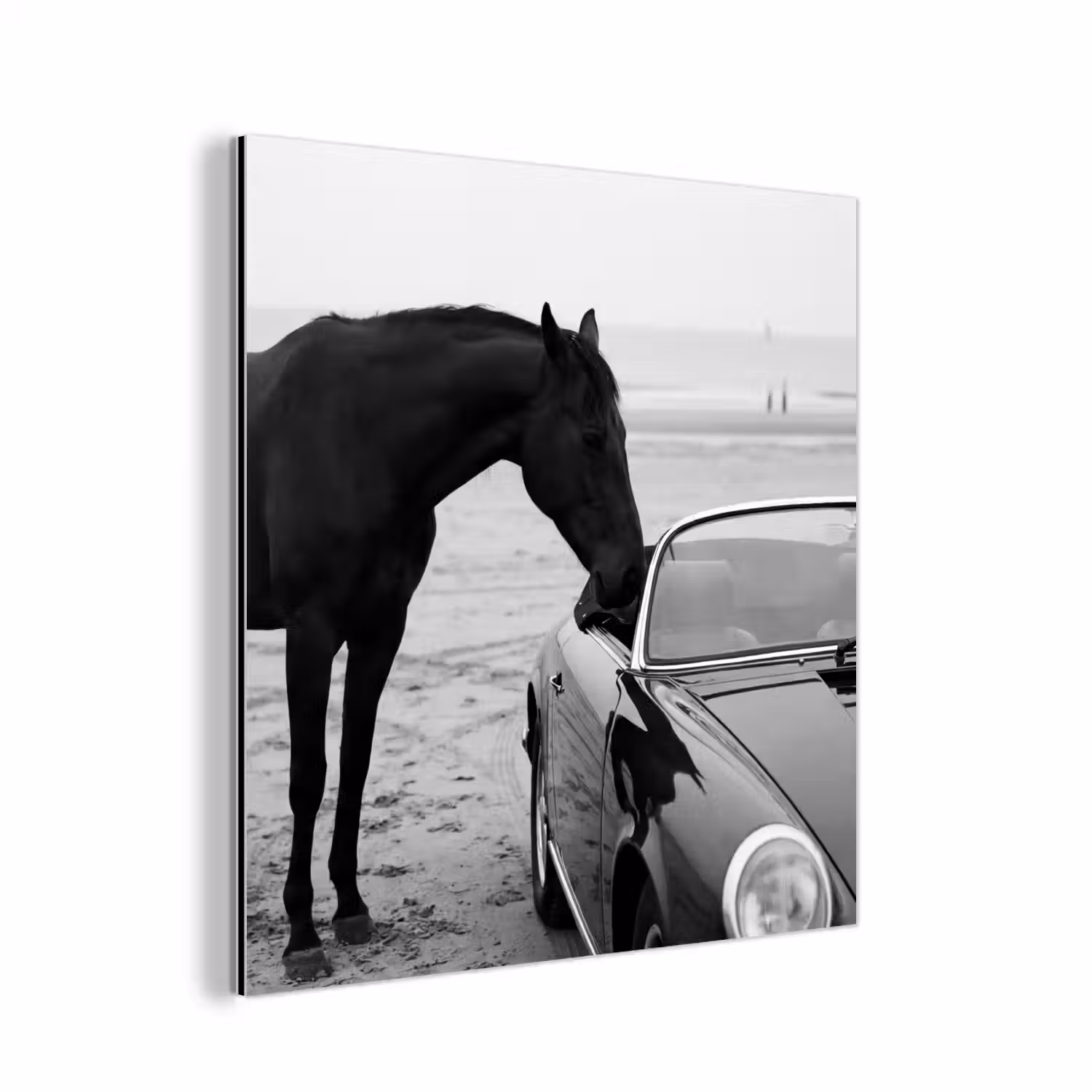 Paard - Auto - Zwart - Wit aluminium wit klein -3d