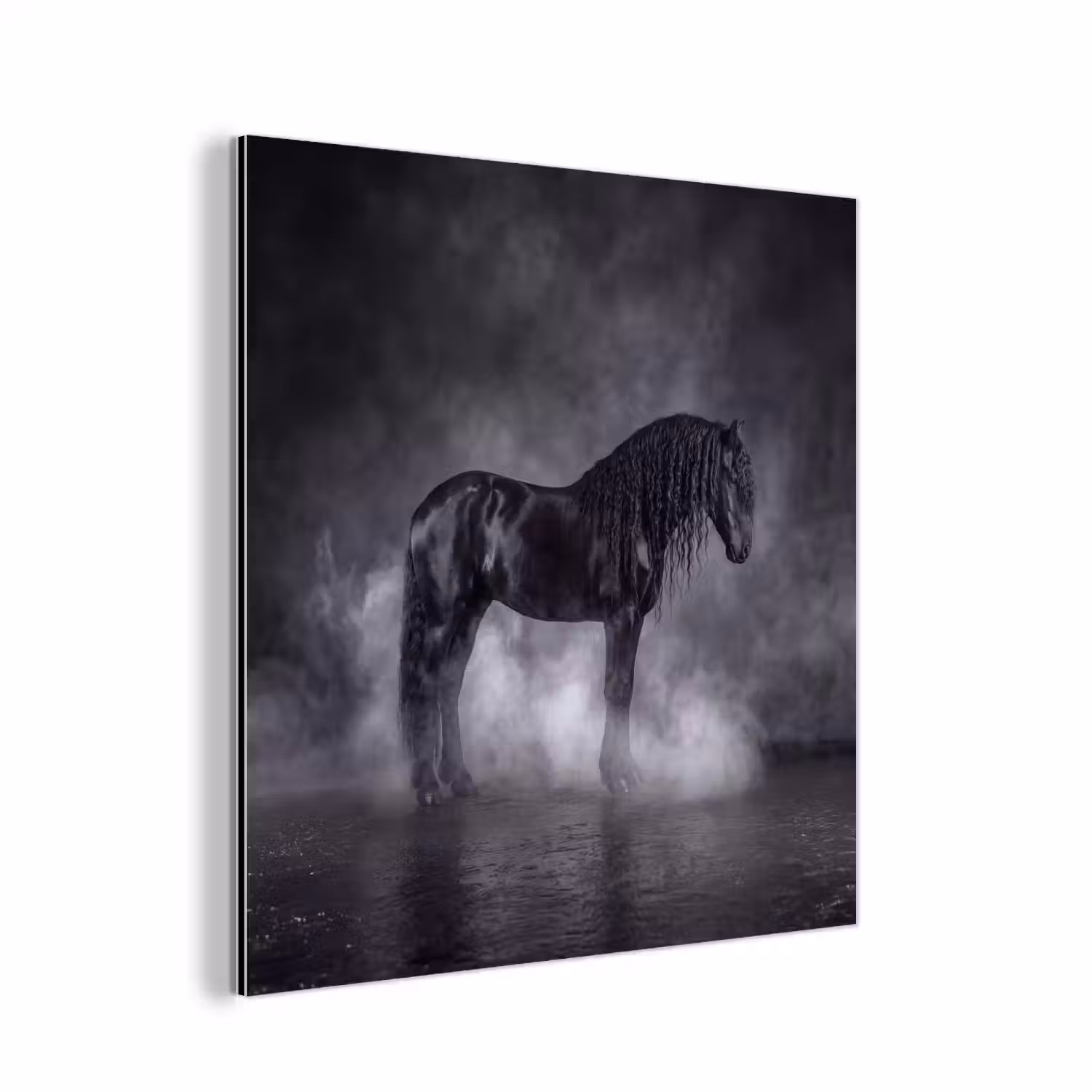 Paard - Magisch - Zwart aluminium wit klein -3d