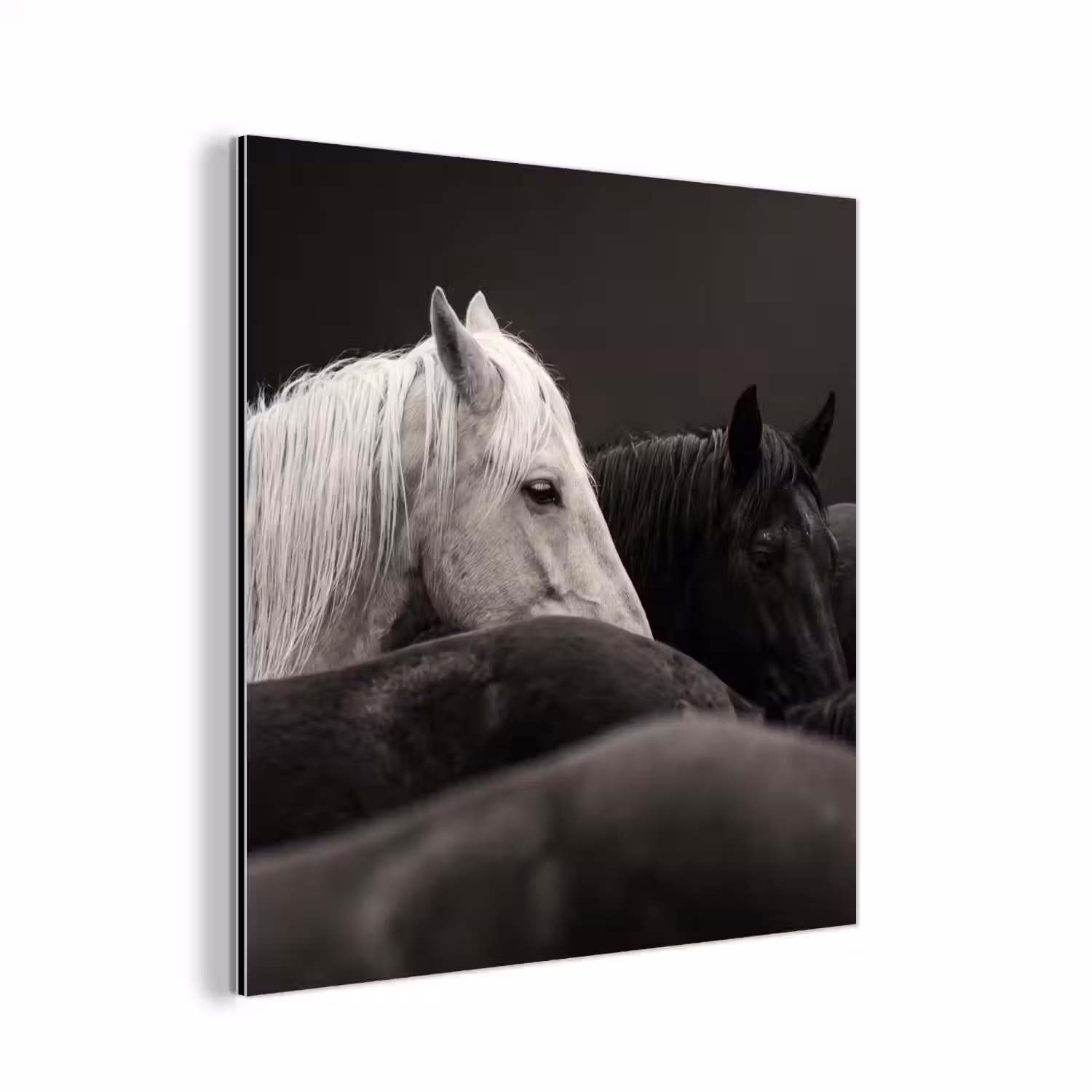 Paarden - Zwart - Wit - Kudde aluminium wit klein -3d