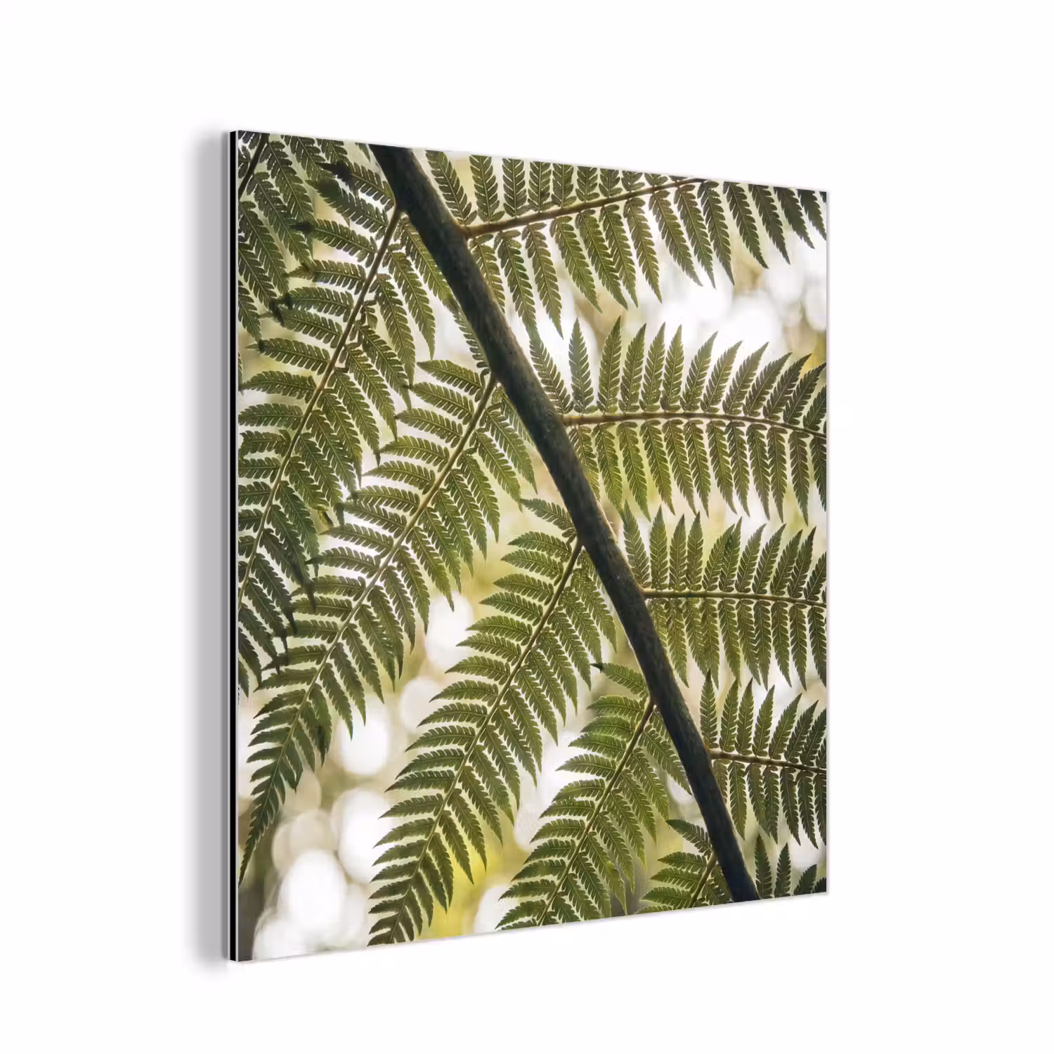 Plant - Blad - Natuur - Groen - Detail aluminium wit klein -3d
