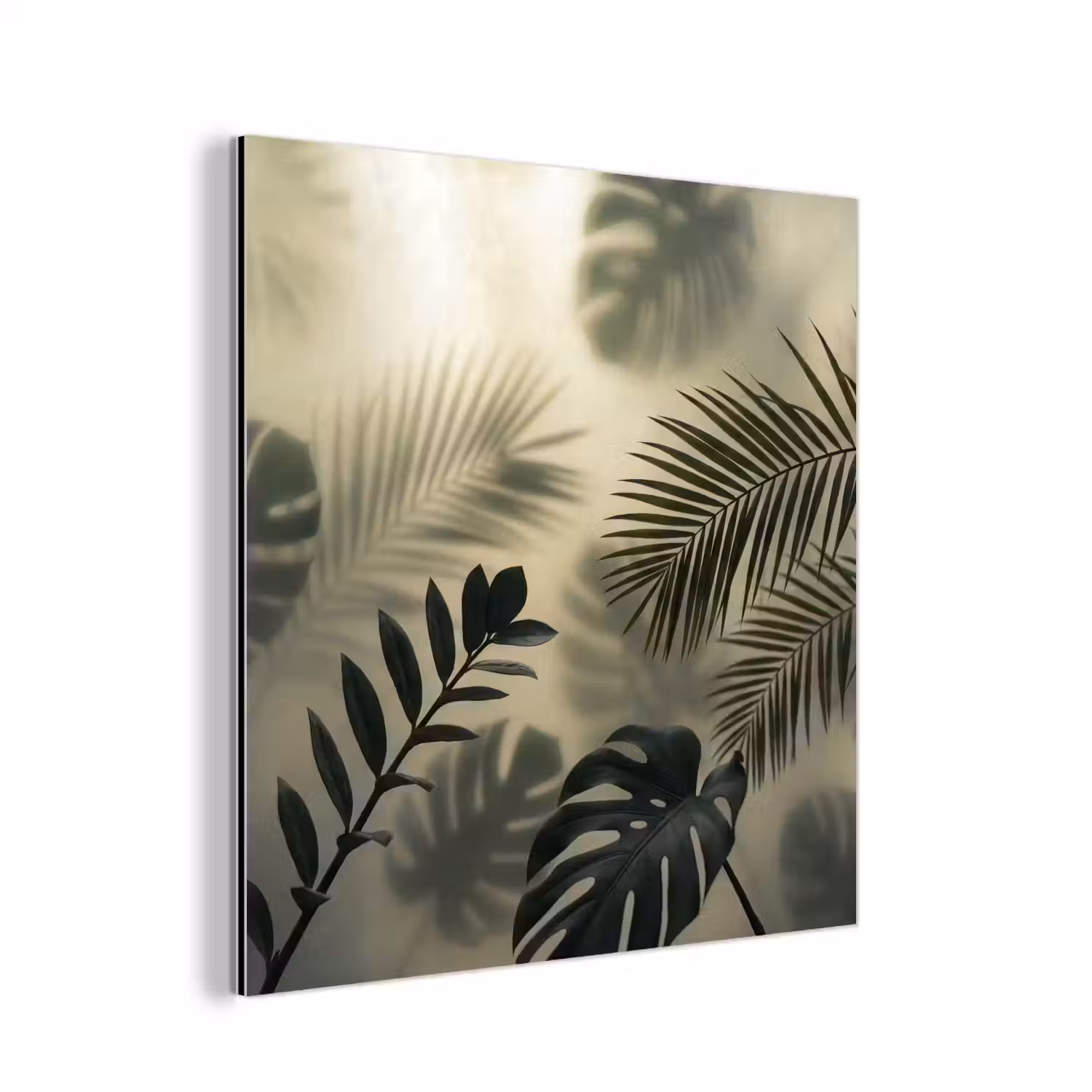 Planten - Bladeren - Schaduwen - Groen - Modern aluminium wit klein -3d