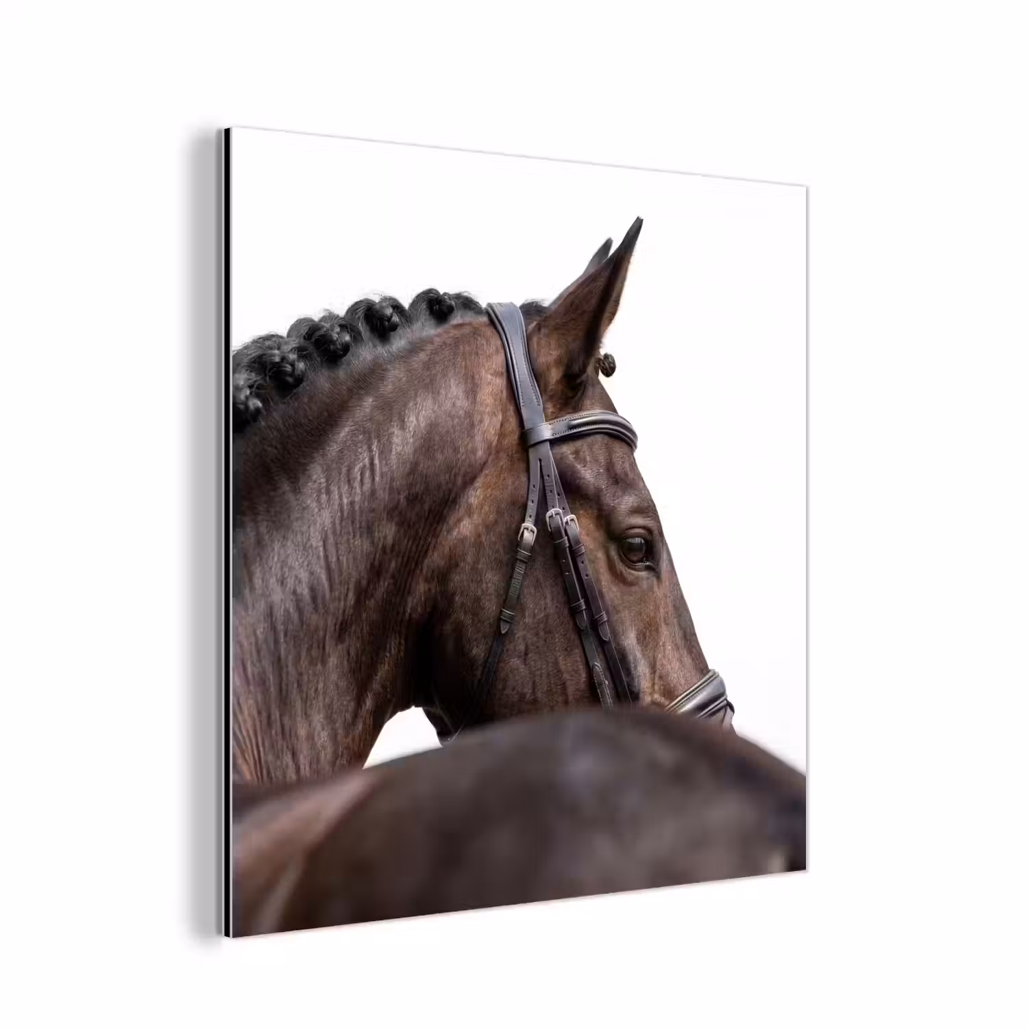 Portret - Paard - Elegant aluminium wit klein -3d