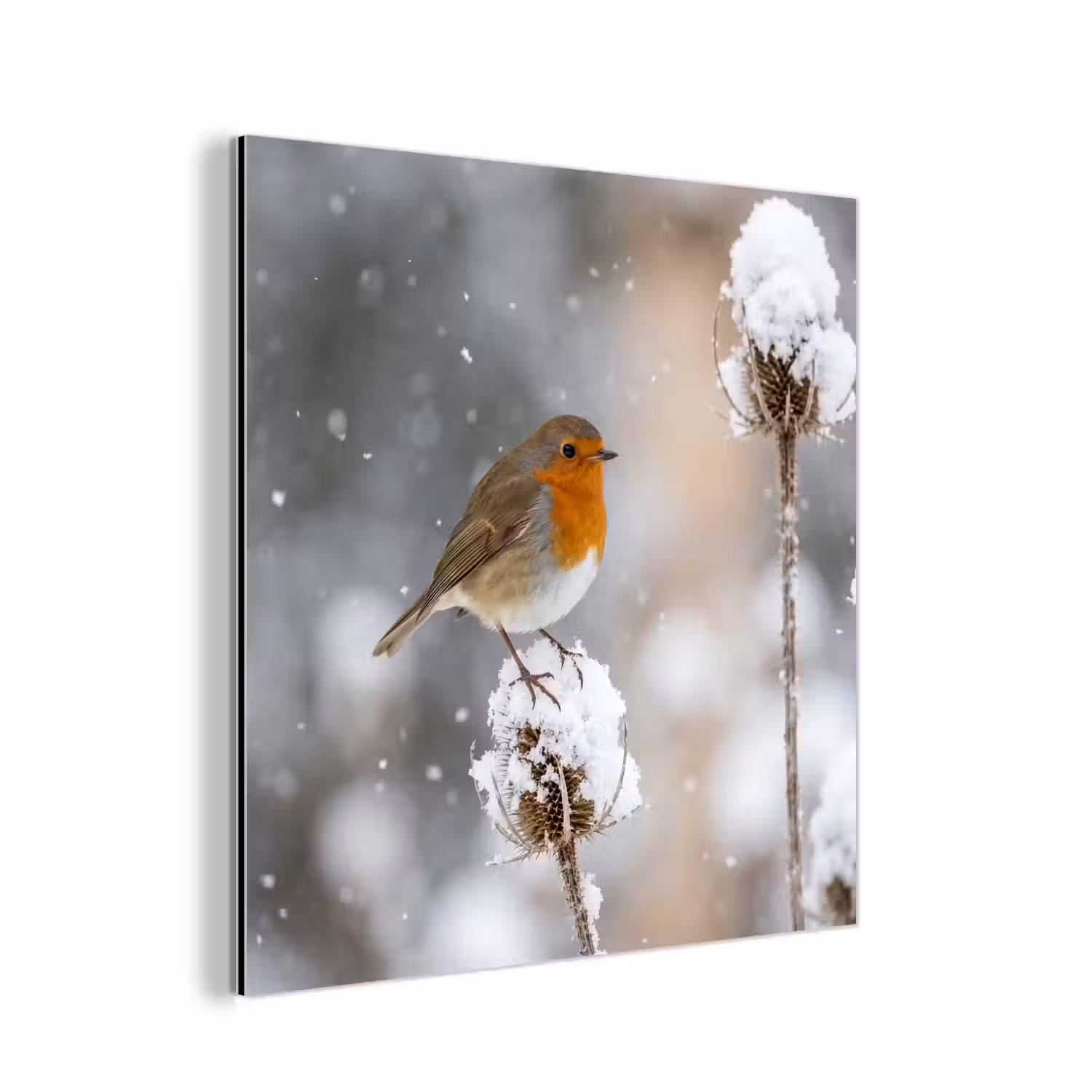 Roodborstje - Gedroogde bloem - Sneeuw - Winter - Vertederend aluminium wit klein -3d
