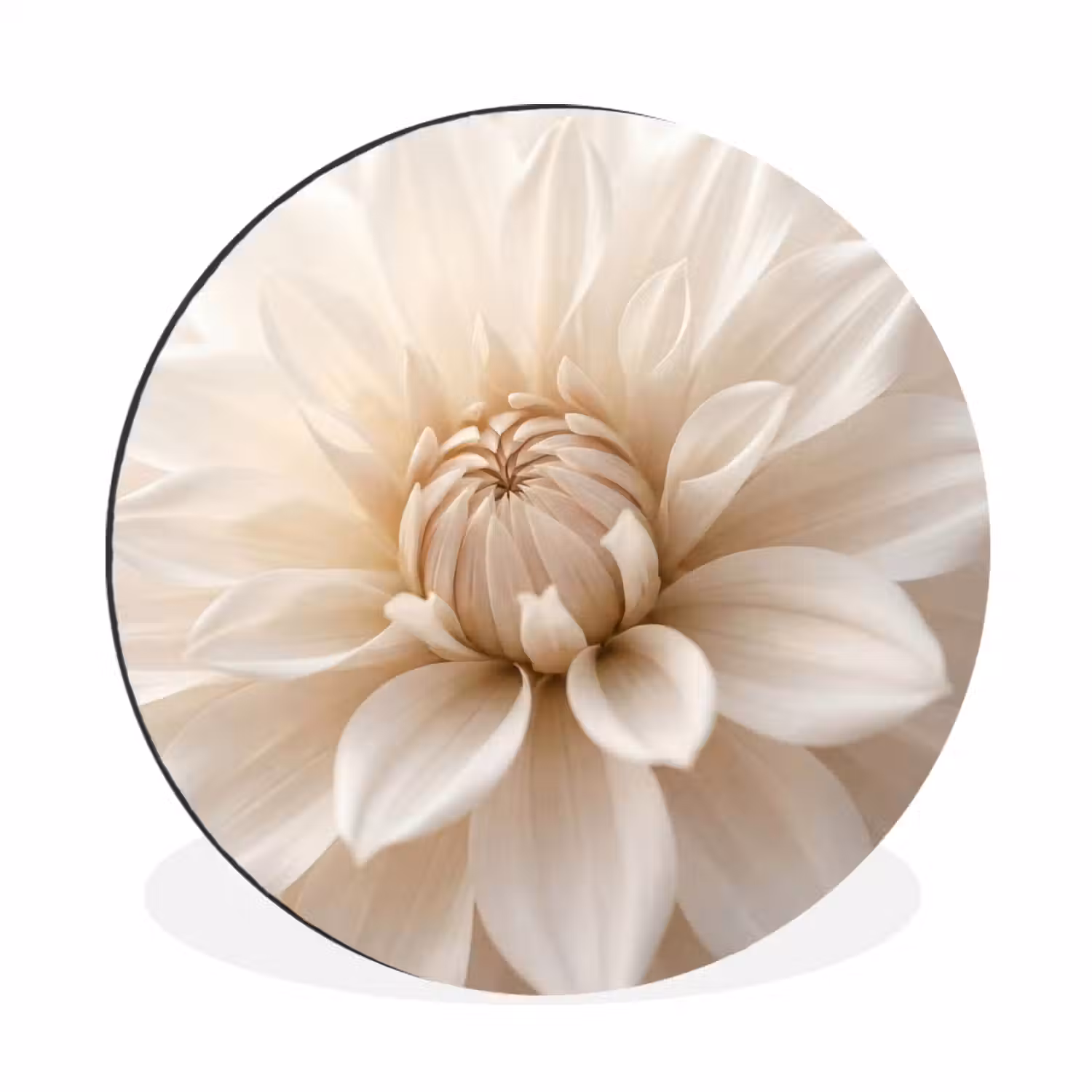 Bloem - Dahlia - Wit Wandcirkel aluminium klein -3d