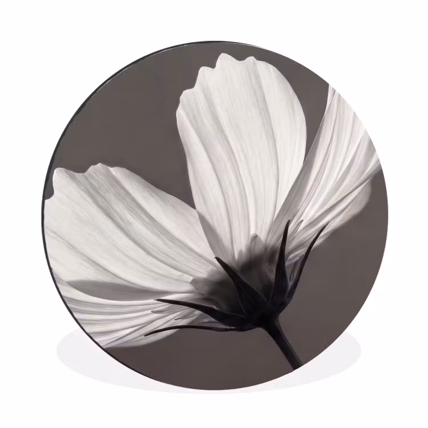Bloem - Minimalistisch - Zwart - Wit Wandcirkel aluminium klein -3d