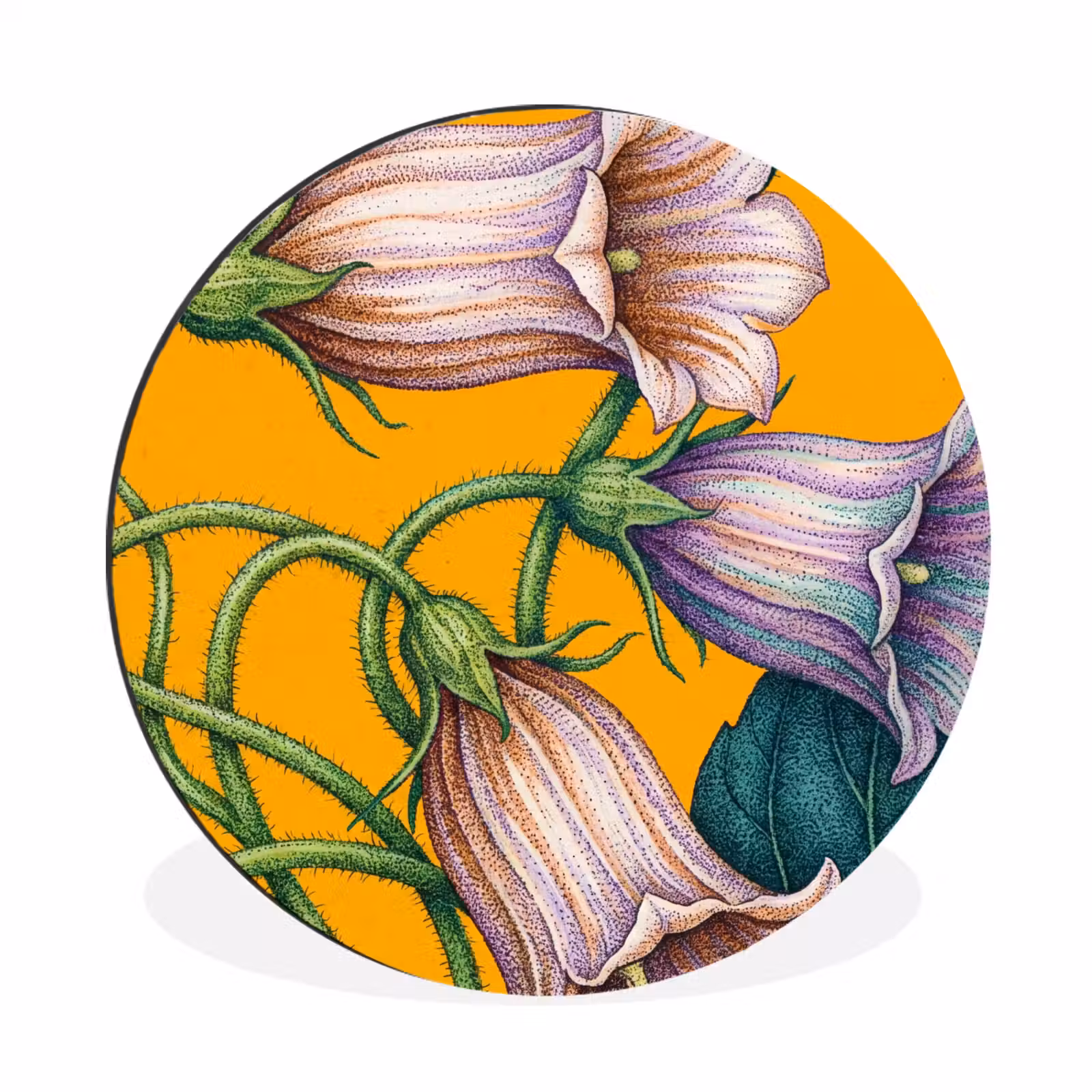 Alu-Dibond-Bild Rund - Blumen – Botanik – Gelb - Bloemen - Botanisch - Geel Wandcirkel aluminium klein