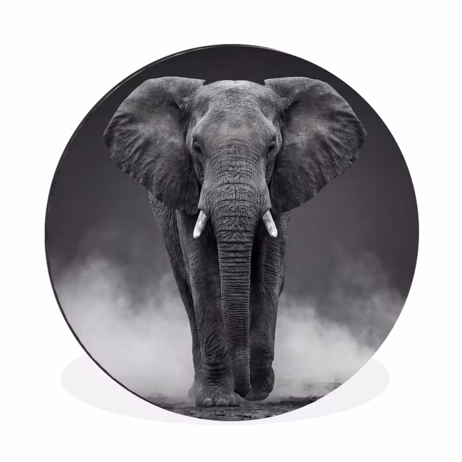 Olifant - Zwart - Wit - Rook Wandcirkel aluminium klein -3d