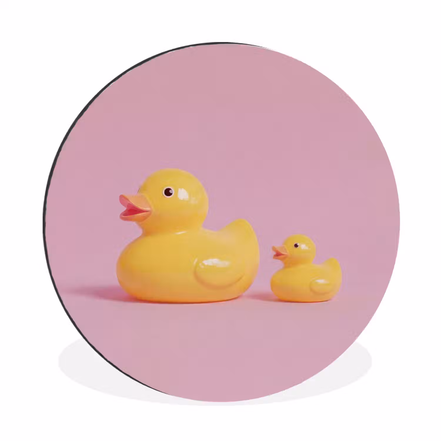 Eendjes - Vrolijk - Roze Wandcirkel aluminium klein -3d