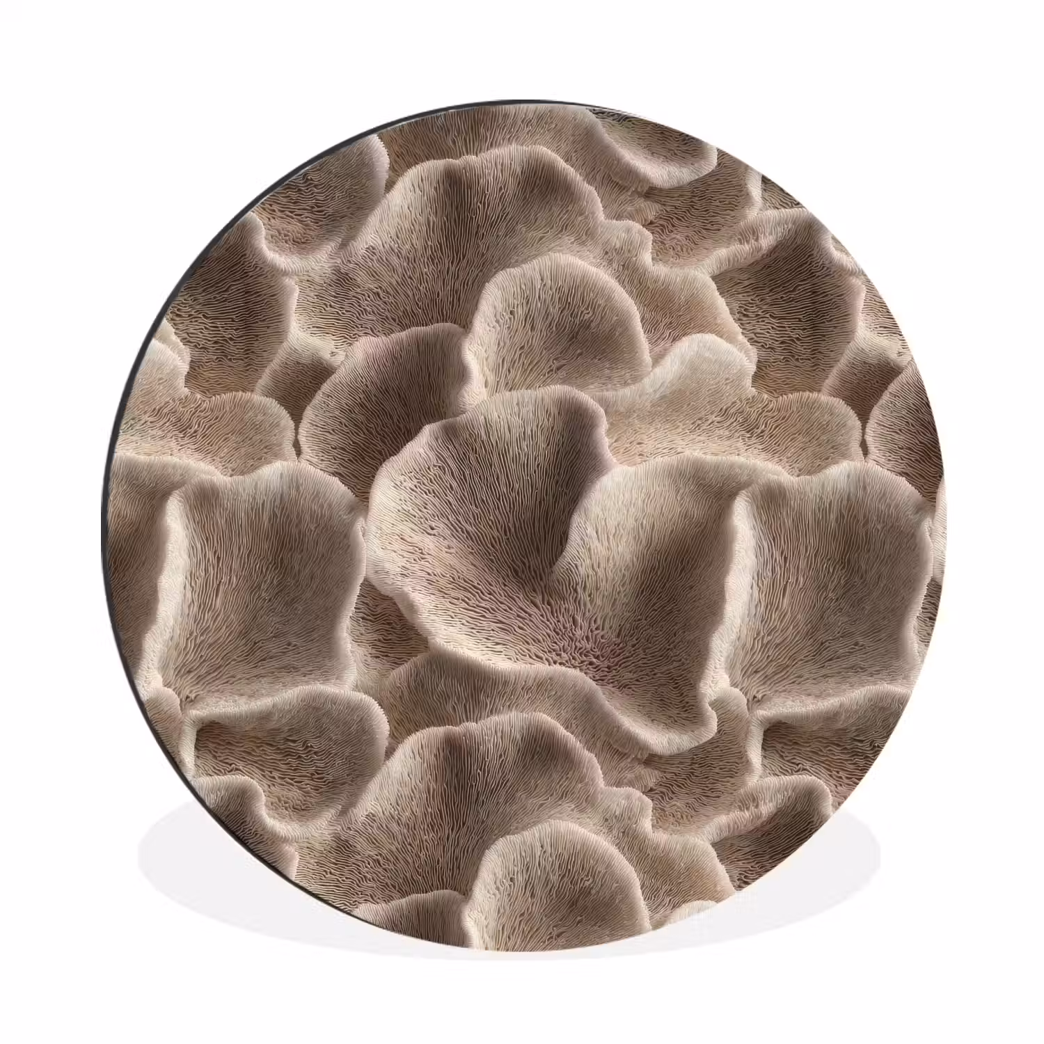 Waaiervorm - Beige - Vezel textuur Wandcirkel aluminium klein 190 -3d
