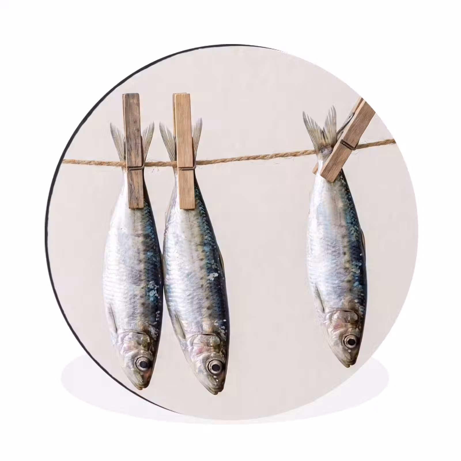 Alu-Dibond-Bild Rund - Fisch – Hängend – Essen - Vis - Hangend - Eten Wandcirkel aluminium klein
