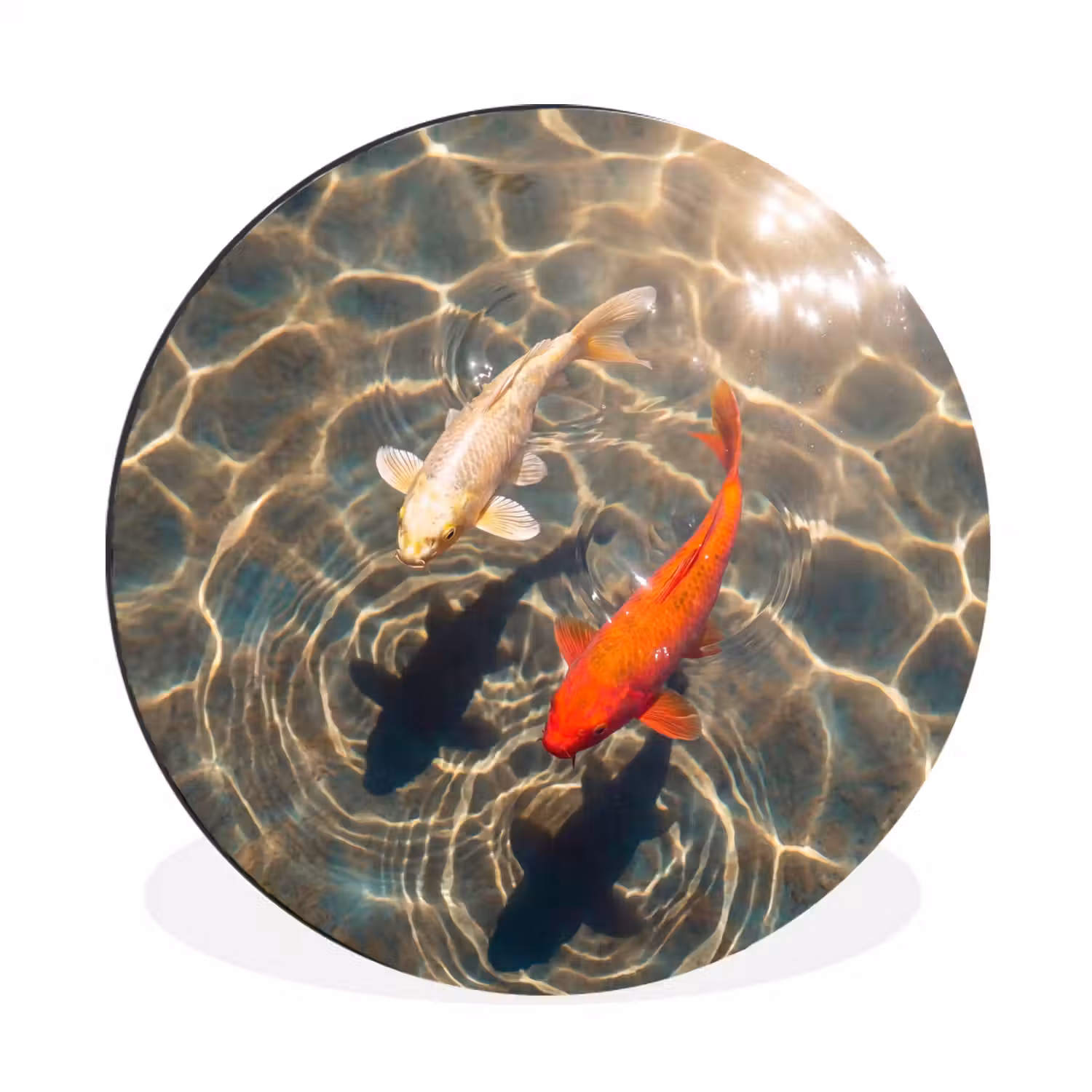 Vis - Water - Dieren - Oranje - Goud Wandcirkel aluminium klein -3d