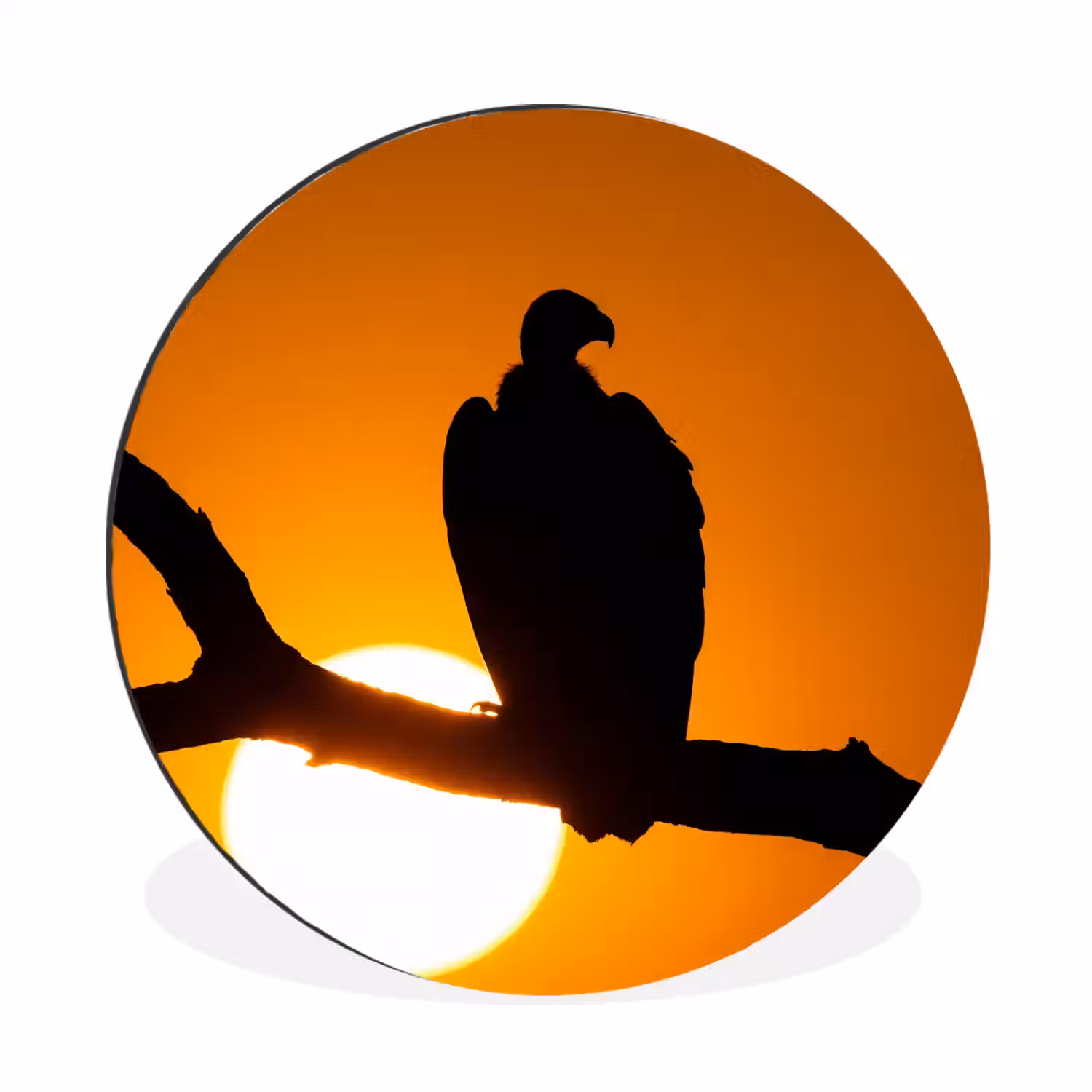 Gier - Tak - Zon - Oranje Wandcirkel aluminium klein -3d