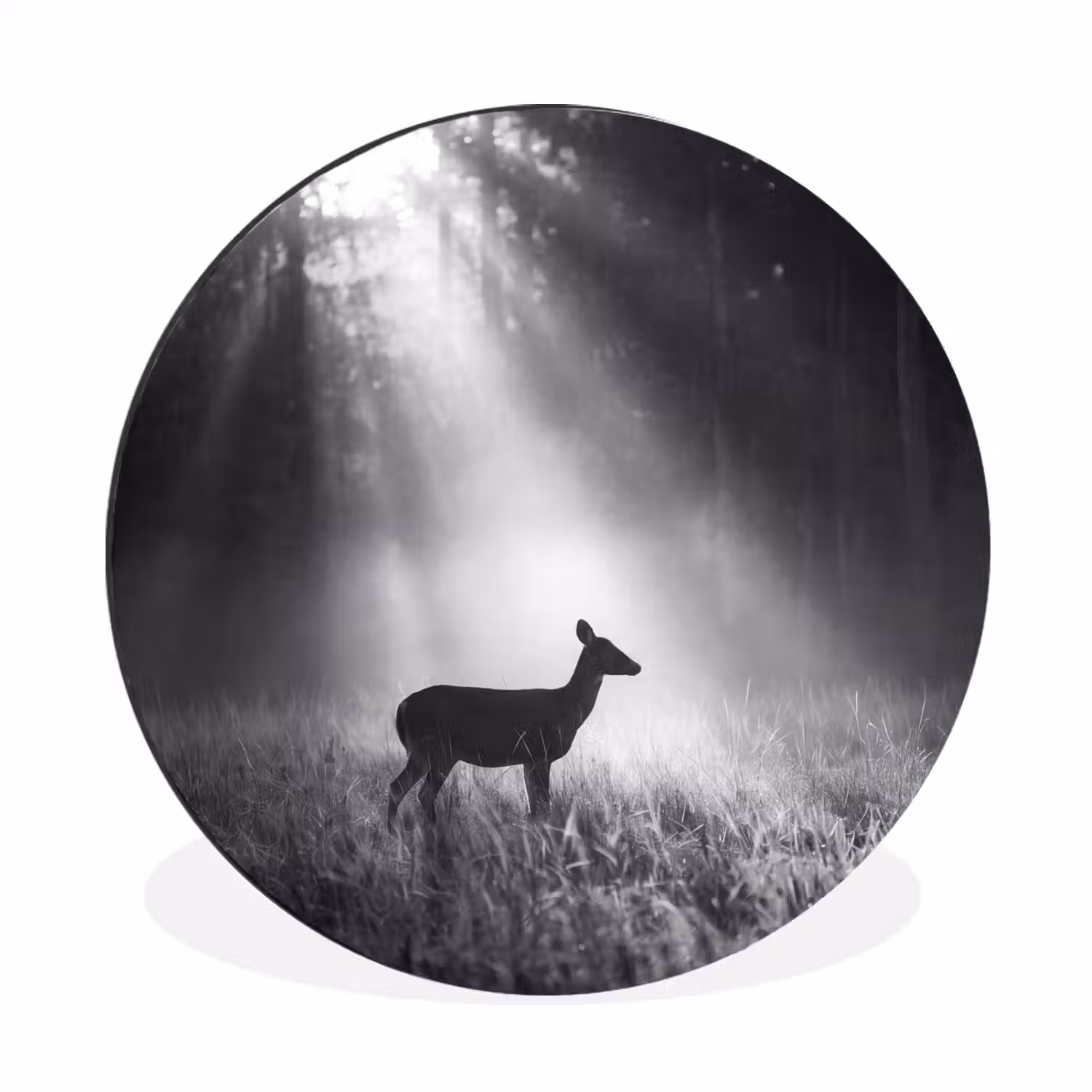 Hert - Bos - Zonnestralen - Zwart-wit - Natuur Wandcirkel aluminium klein -3d