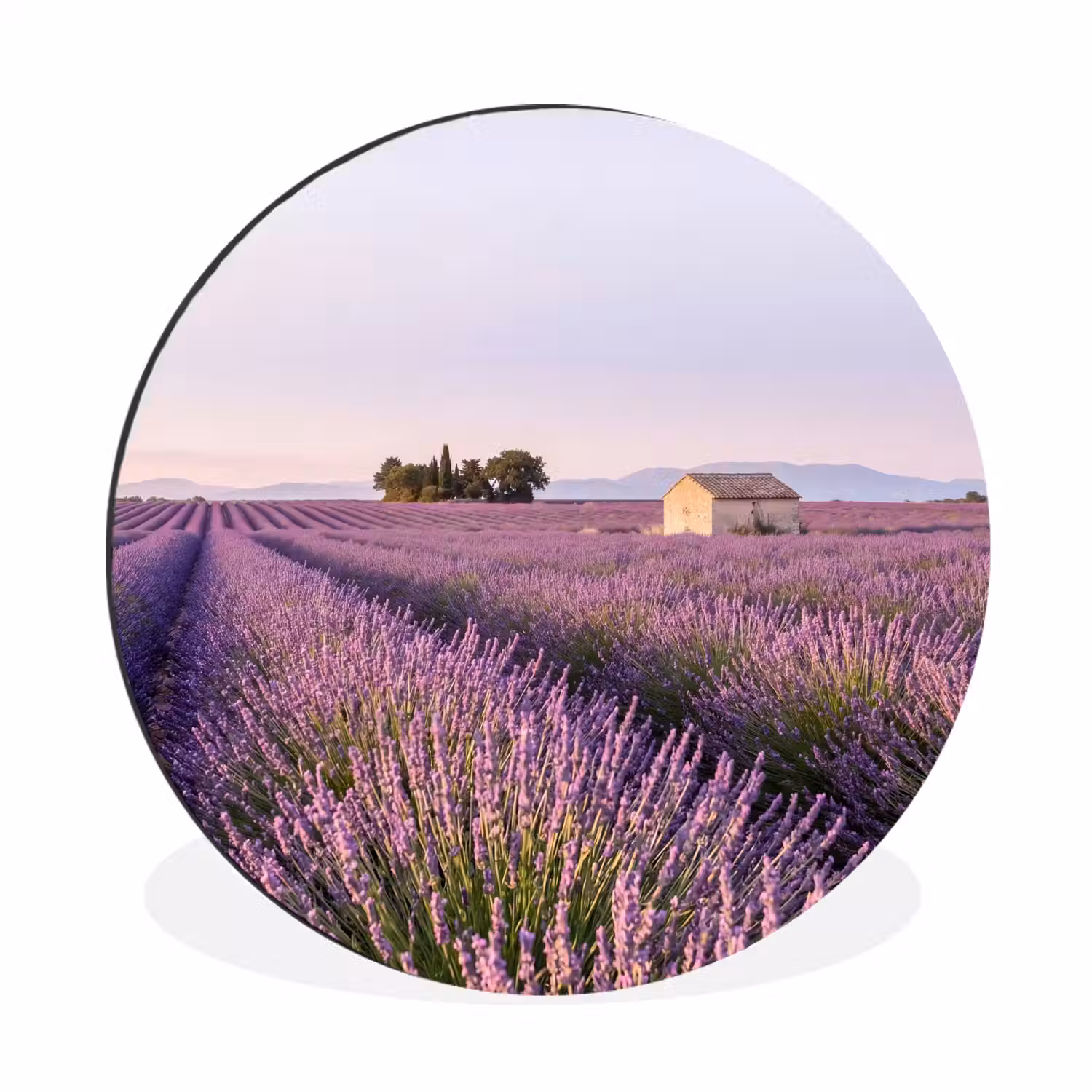 Lavendel - Landschap - Sereen - Paars Wandcirkel aluminium klein -3d