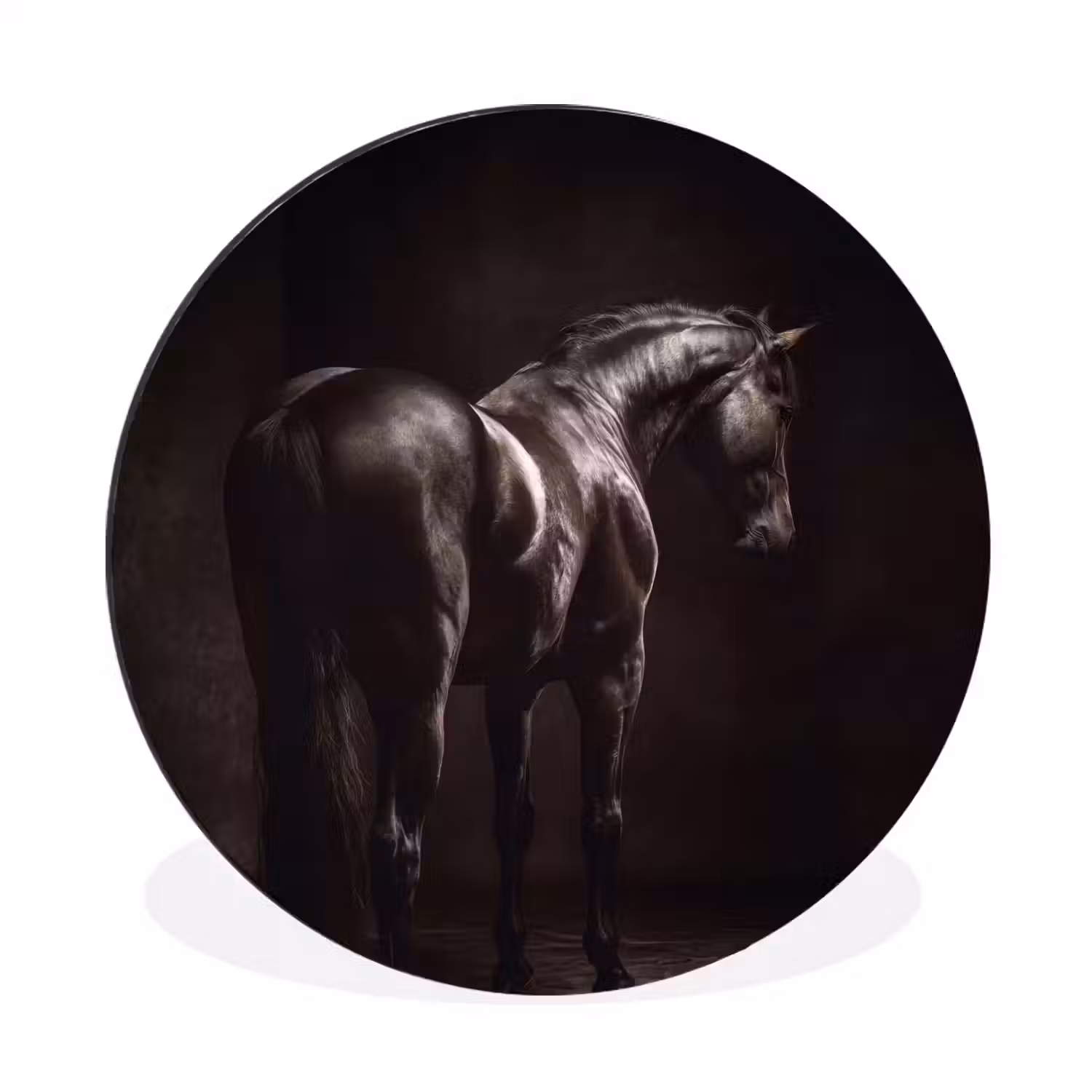 Krachtig - Paard - Donker Wandcirkel aluminium klein -3d