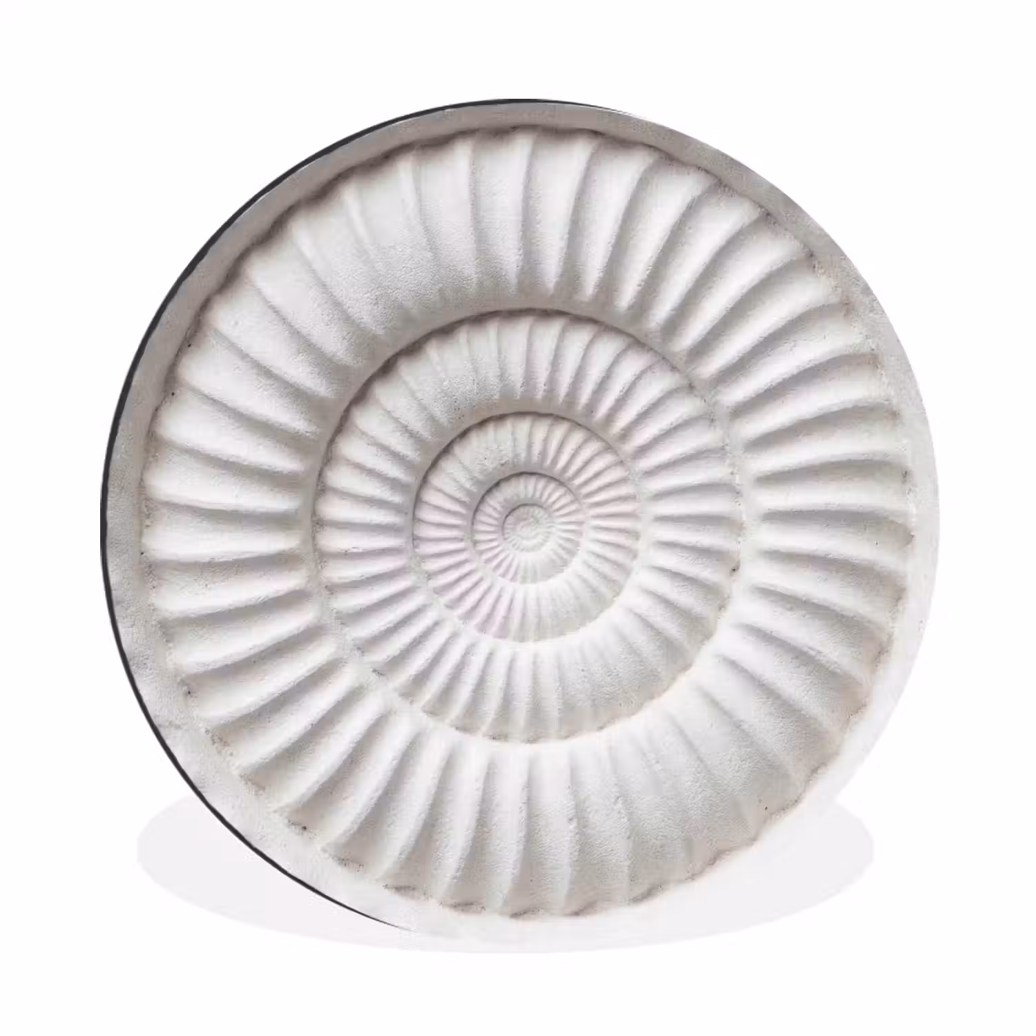 Schelp - Spiraal - Wit Wandcirkel aluminium klein -3d