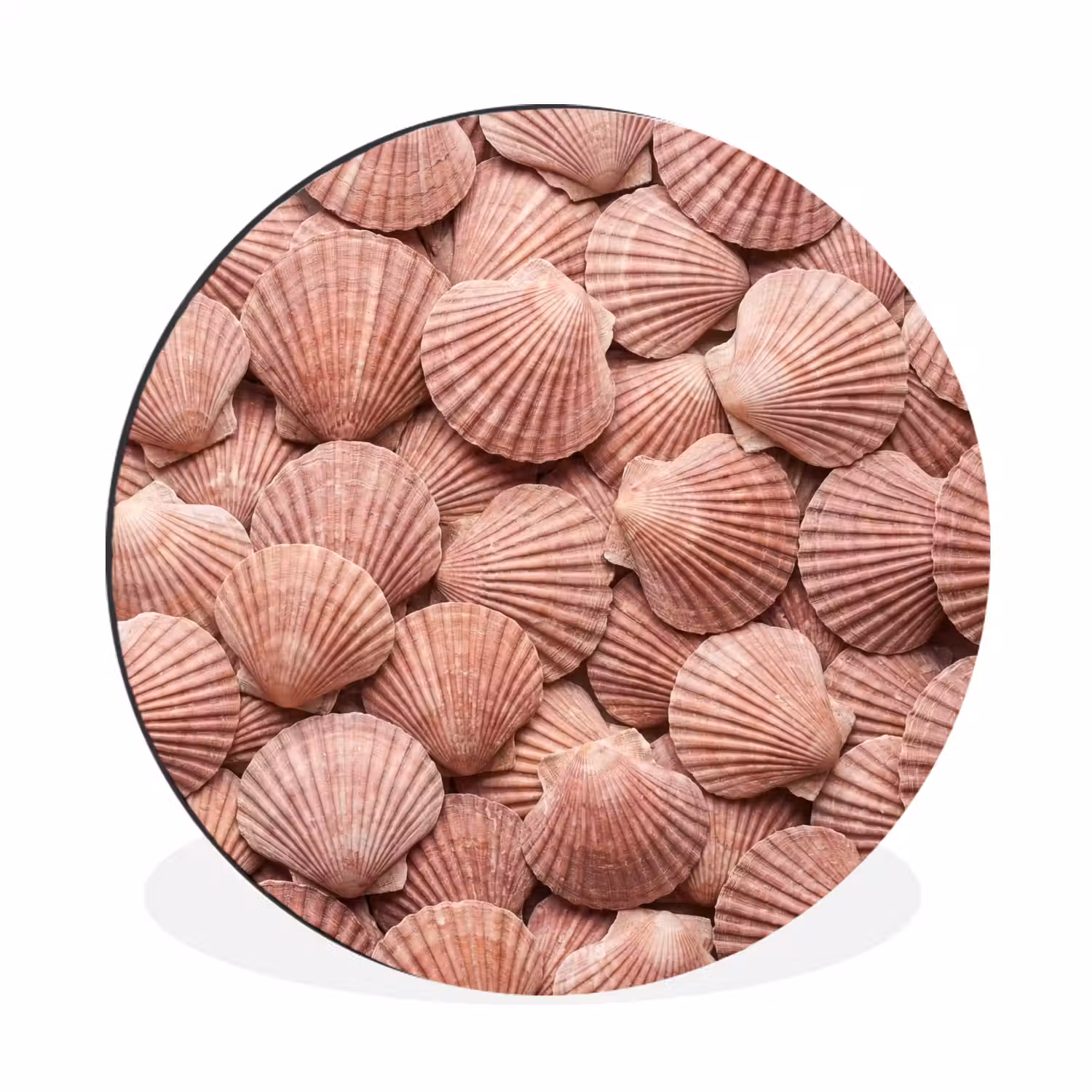 Schelpen - Patroon - Roze Wandcirkel aluminium klein -3d