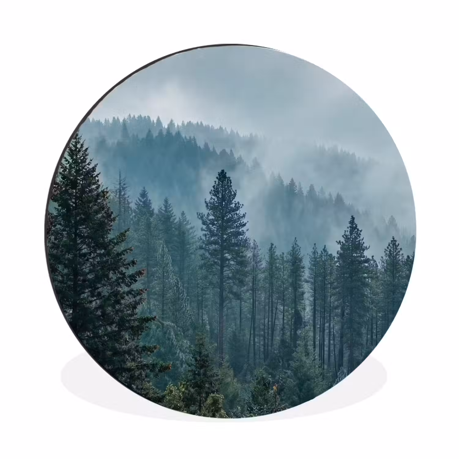 Naaldwoud - Bergen - Mist Wandcirkel aluminium klein -3d