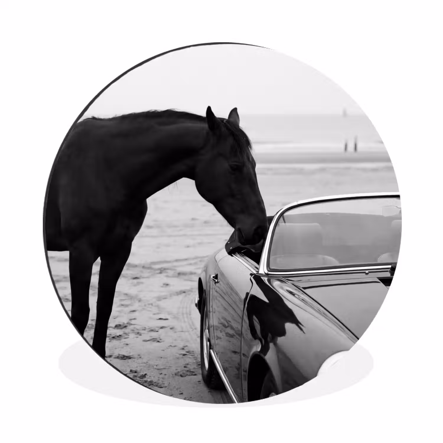 Paard - Auto - Zwart - Wit Wandcirkel aluminium klein -3d