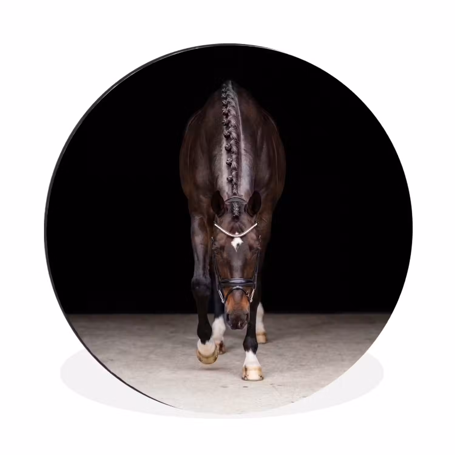 Paard - Modern - Portret Wandcirkel aluminium klein -3d