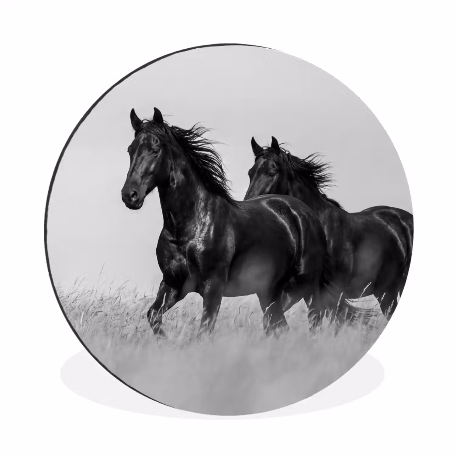 Paarden - Gras - Zwart - Wit Wandcirkel aluminium klein -3d