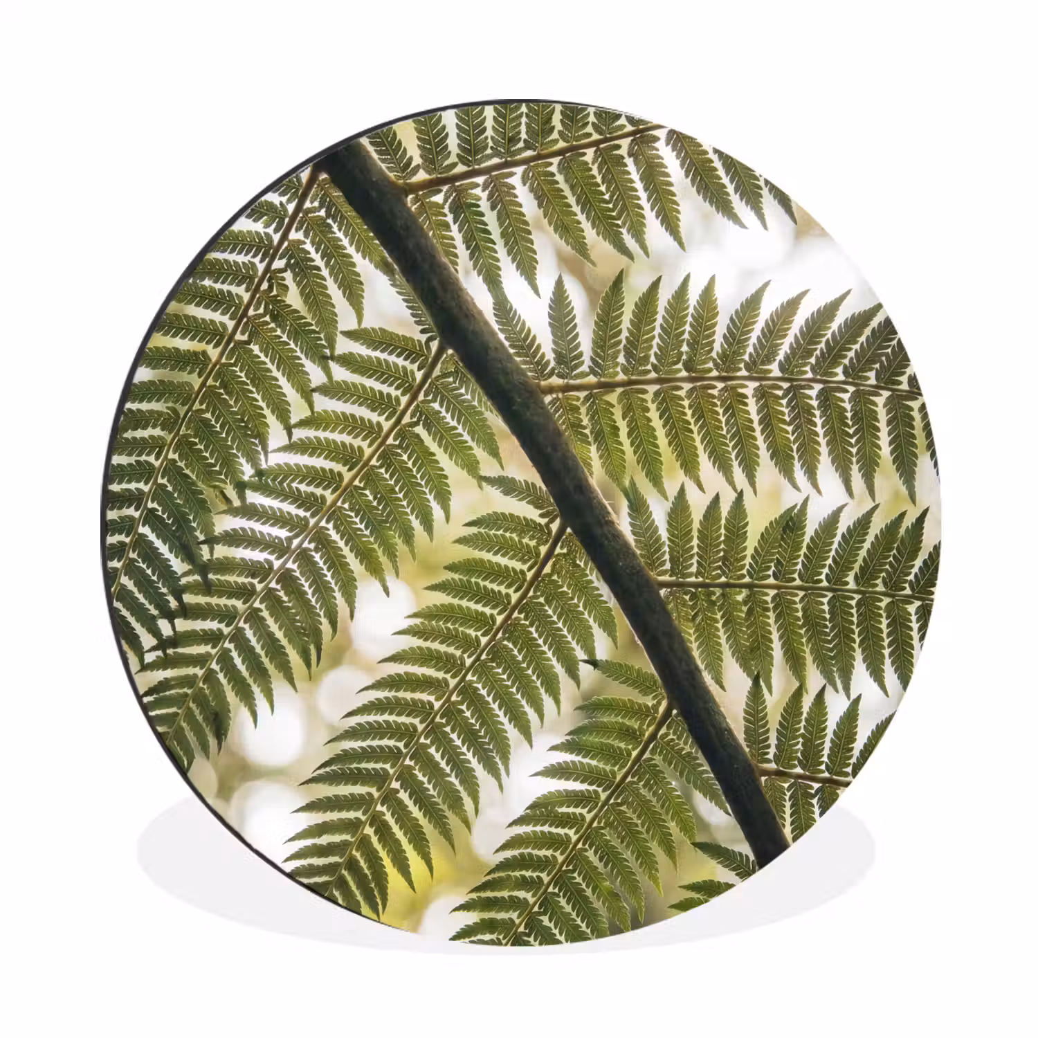Plant - Blad - Natuur - Groen - Detail Wandcirkel aluminium klein -3d