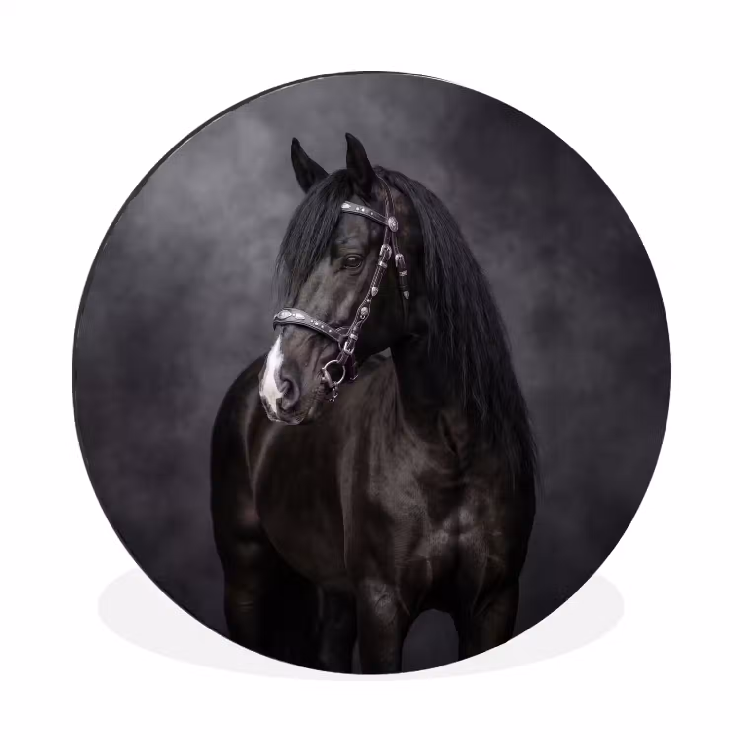 Portret - Paard - Zwart Wandcirkel aluminium klein -3d