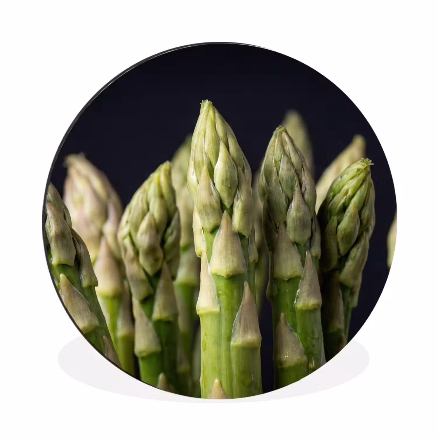 Asperges - Groen - Zwart Wandcirkel aluminium klein -3d