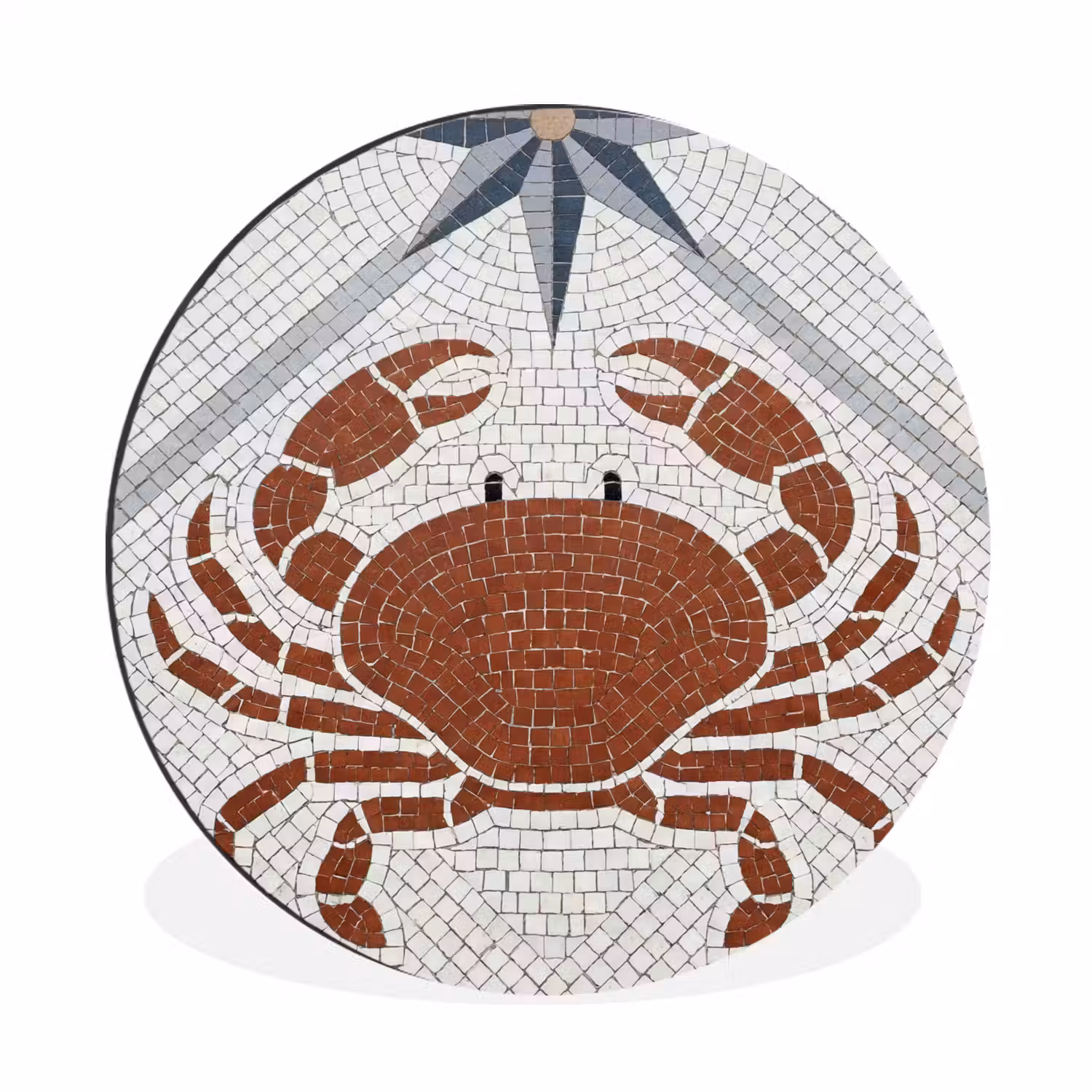 Dier - Mozaïek - Zee - Klassiek - Bruin Wandcirkel aluminium klein -3d