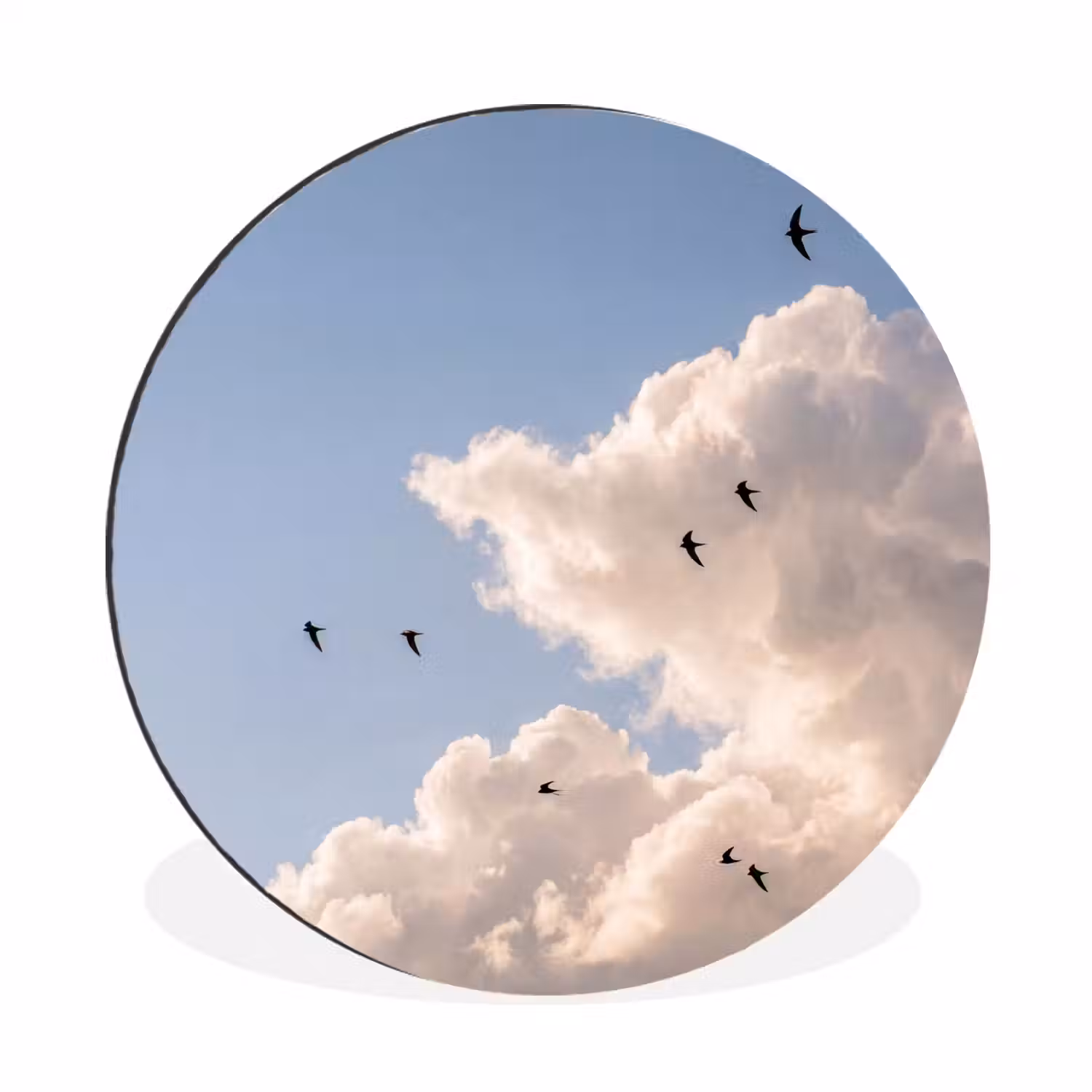 Vogel - Vlucht - Wolken - Natuur - Blauw Wandcirkel aluminium klein -3d