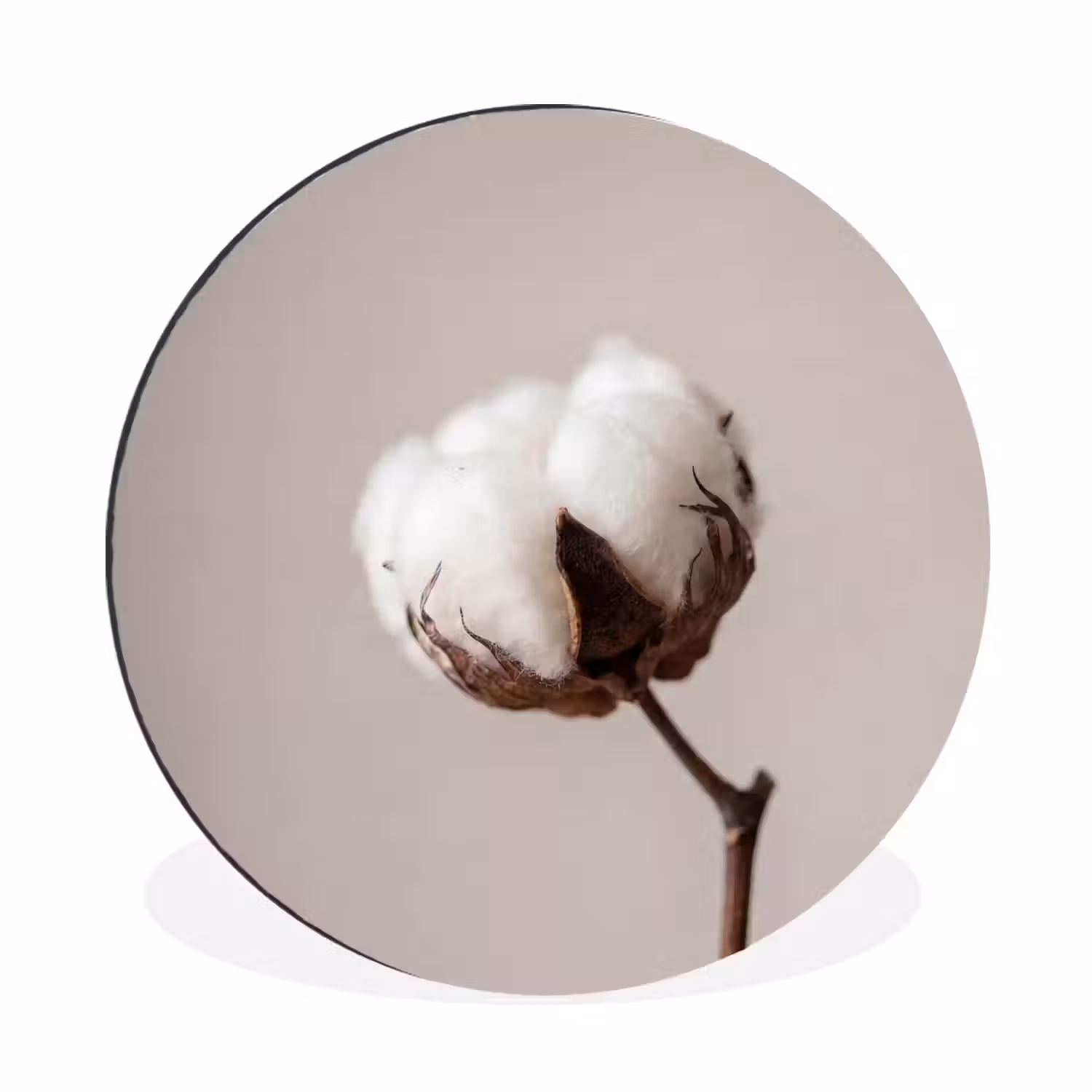 Katoenbol - Minimalistisch - Wit Wandcirkel aluminium klein -3d
