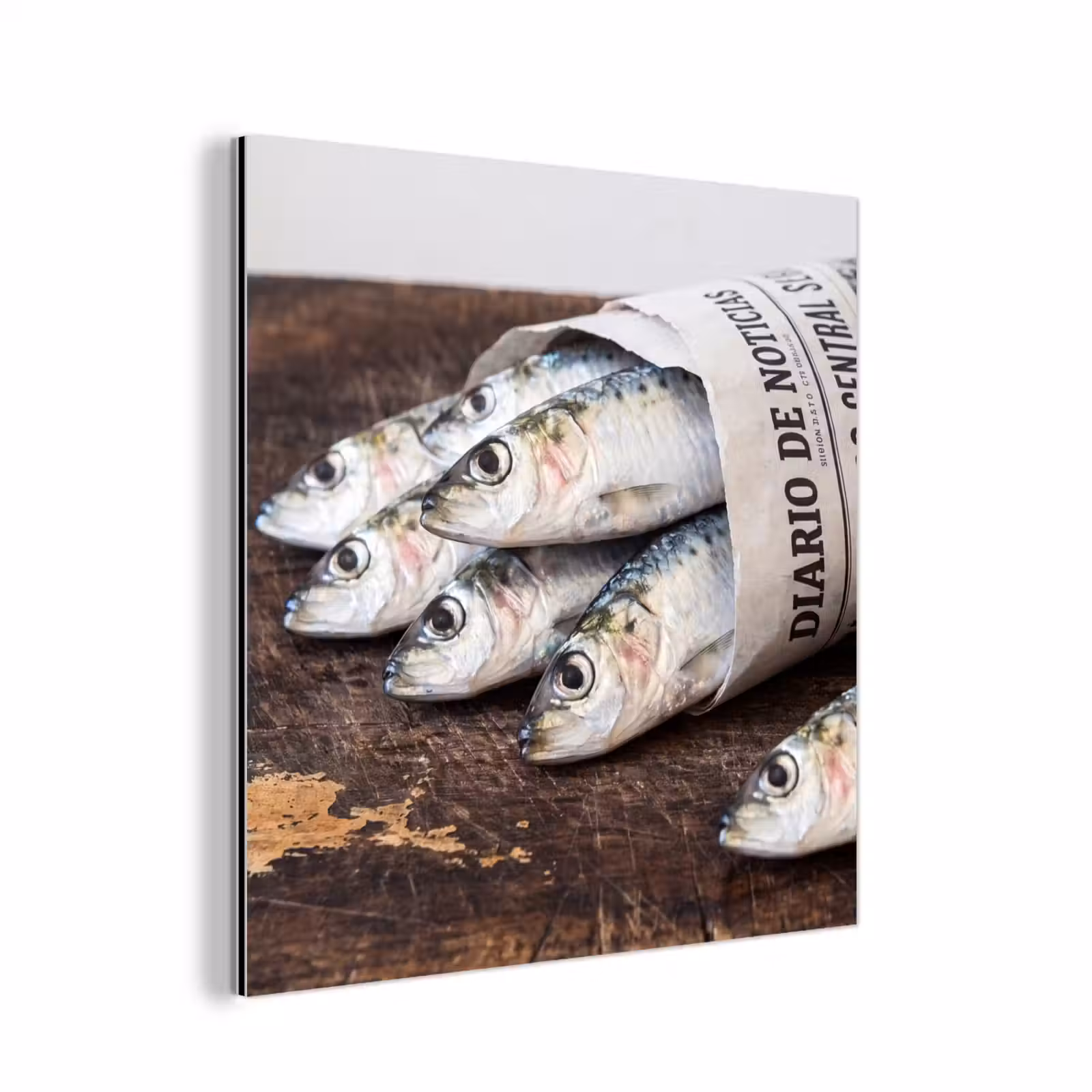 Alu-Dibond-Bild - Sardine – Zeitung – Schneidebrett - Sardientje - krant - snijplank aluminium wit klein