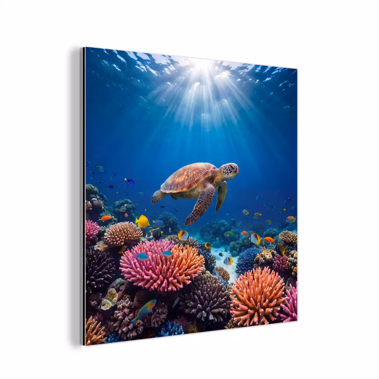 Schildpad - Koraalrif - Oceaan - Dieren - Blauw aluminium wit klein -3d
