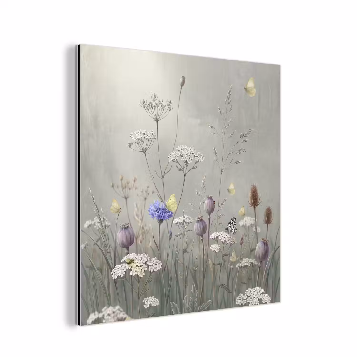 Vlinders - Wildbloemen - Illustratie - Kleurrijk aluminium wit klein -3d