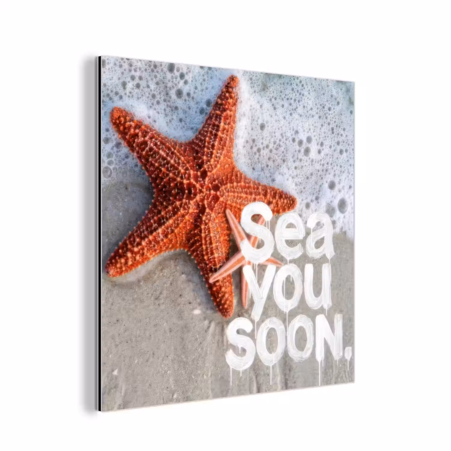 Sea you soon - Zeester - Zee aluminium wit klein -3d