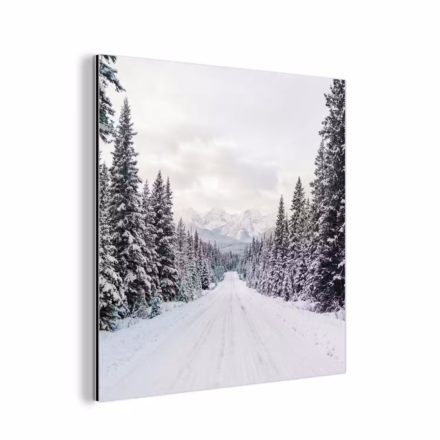 Weg - Sneeuw - Naaldbos - Winter - Avontuurlijk aluminium wit klein -3d