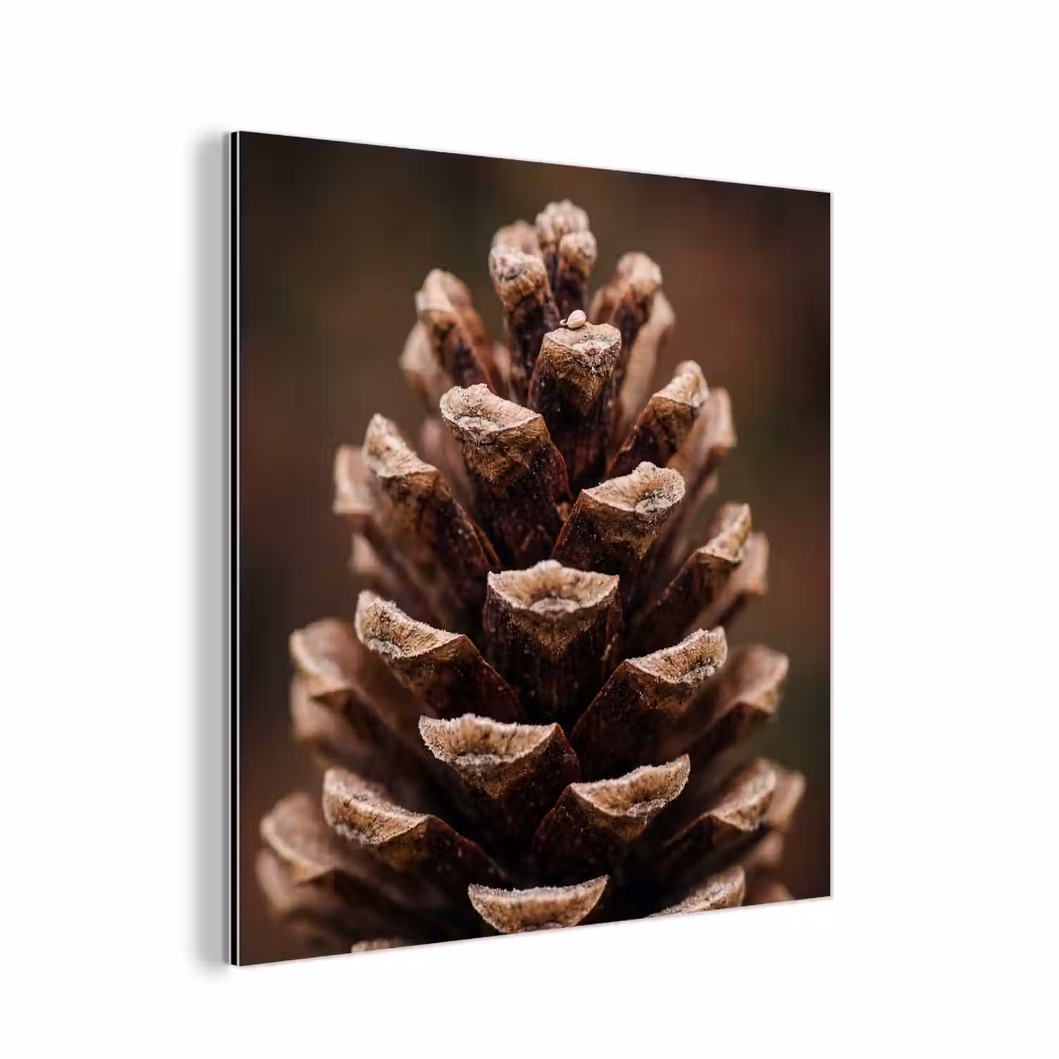 Dennenappel - Bos - Herfst - Bruin - Sfeervol aluminium wit klein -3d