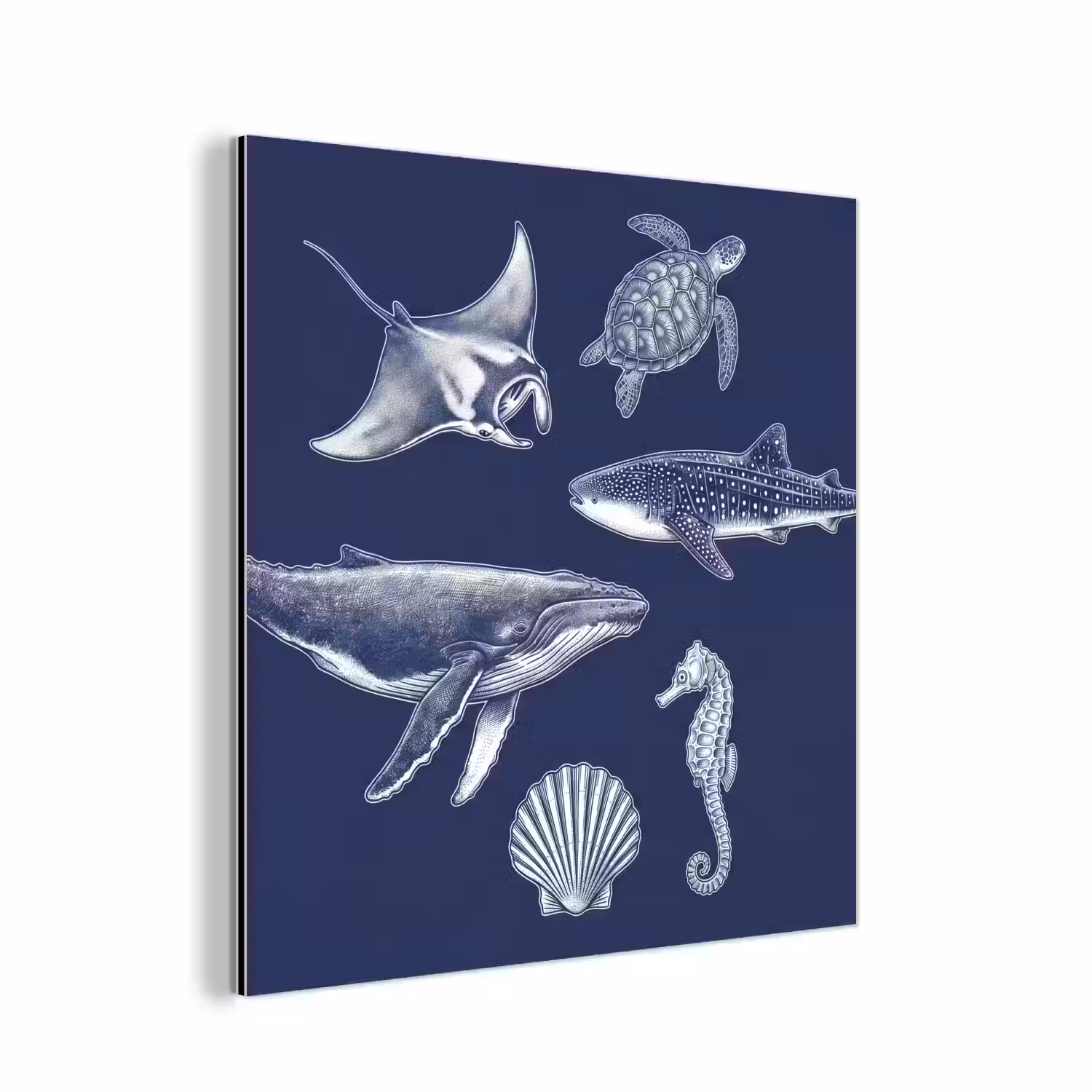 Dieren - Zeeleven - Oceaan - Graveren - Blauw aluminium wit klein -3d
