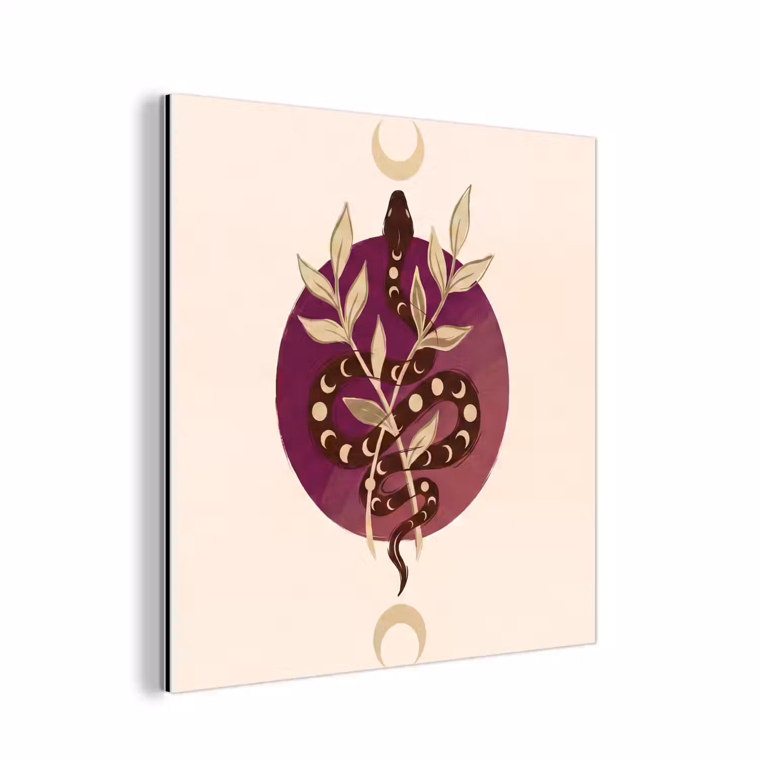 Dieren - Slang - Maan - Mystiek - Abstract aluminium wit klein -3d