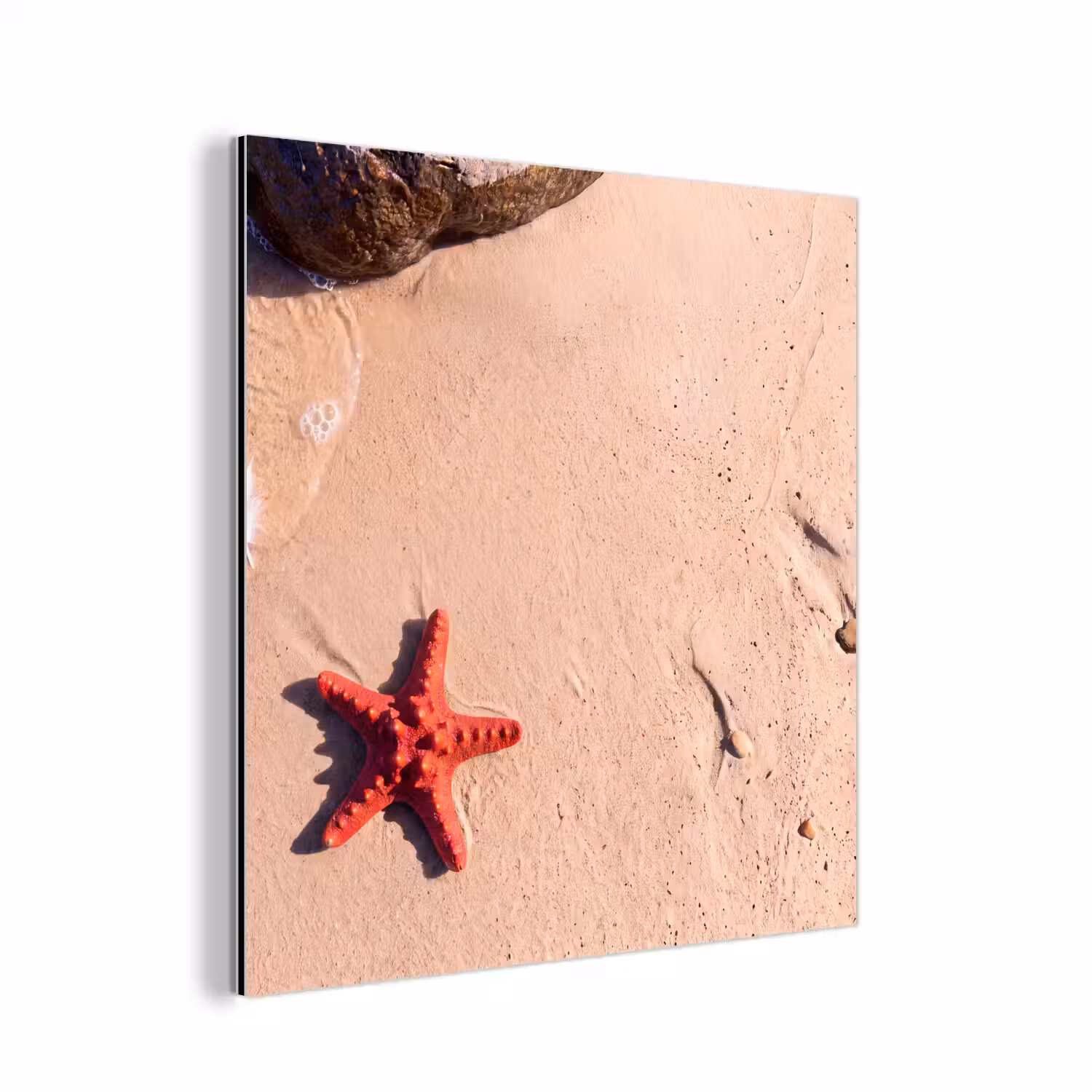 Dieren - Strand - Zee - Natuur - Rood aluminium wit klein -3d