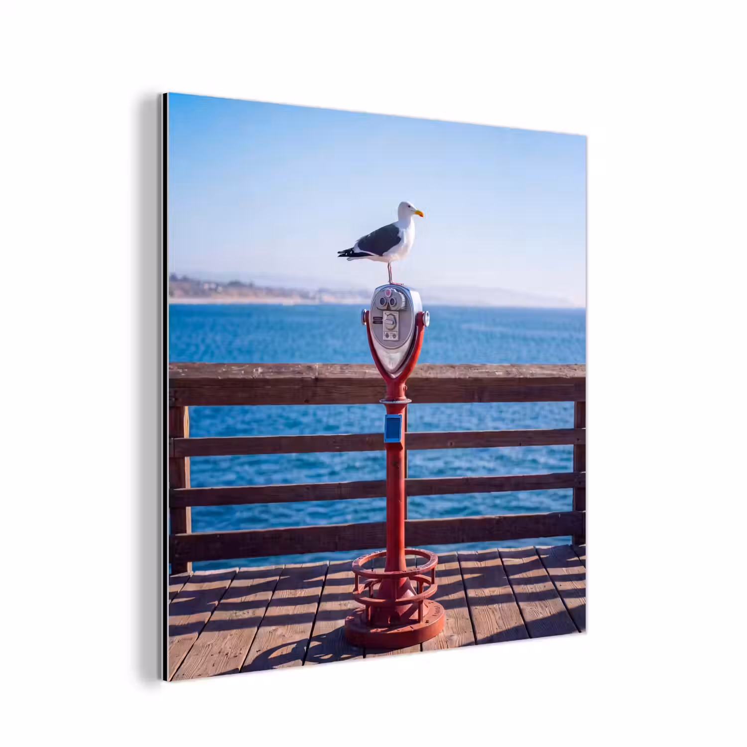 Vogel - Verrekijker - Kust - Zee - Blauw aluminium wit klein -3d