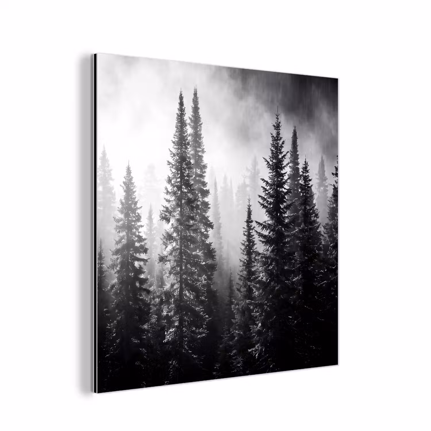 Bos - Mist - Winter - Monochroom - Natuur aluminium wit klein -3d