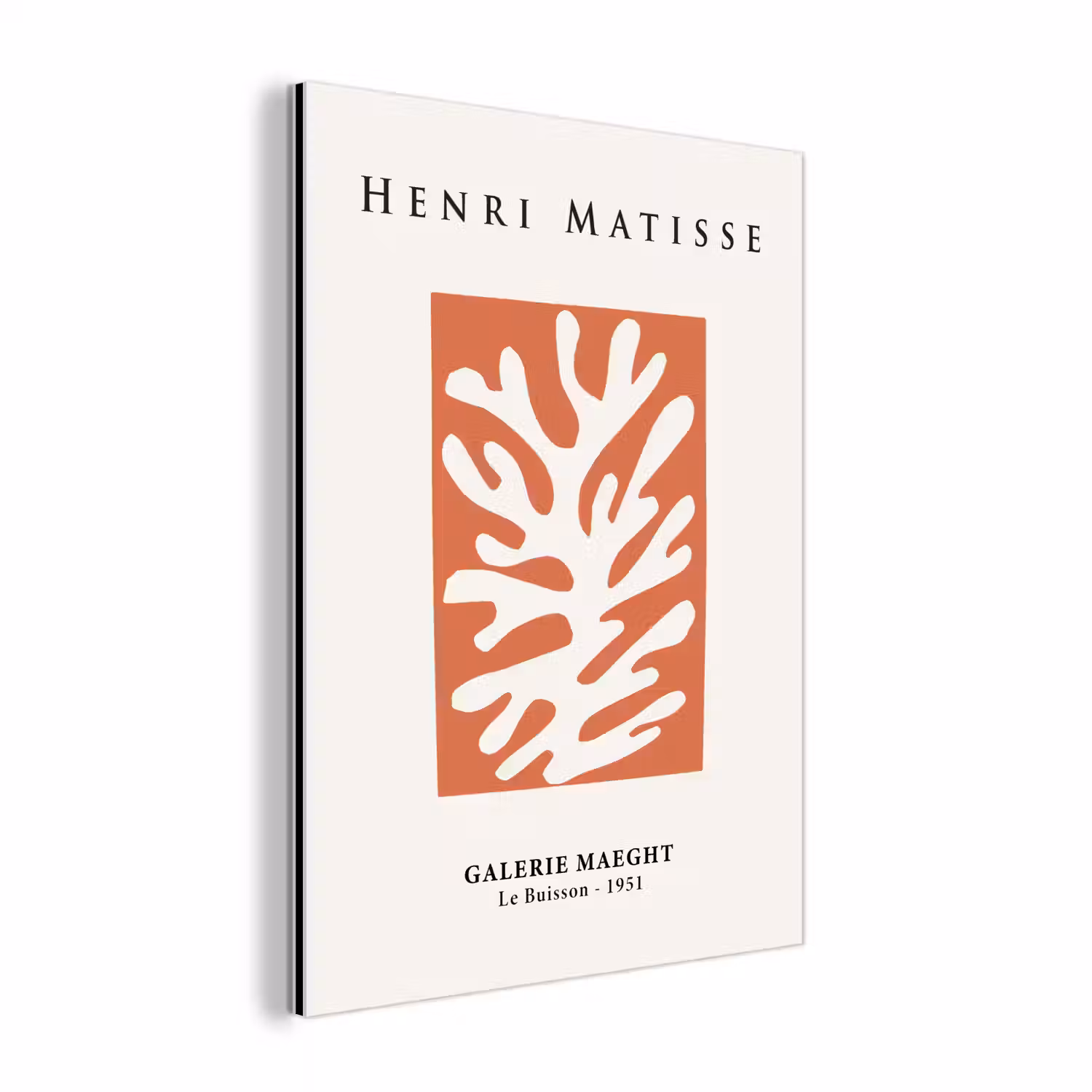 Abstract - Oude meesters - Rood - Henri Matisse aluminium wit klein -3d