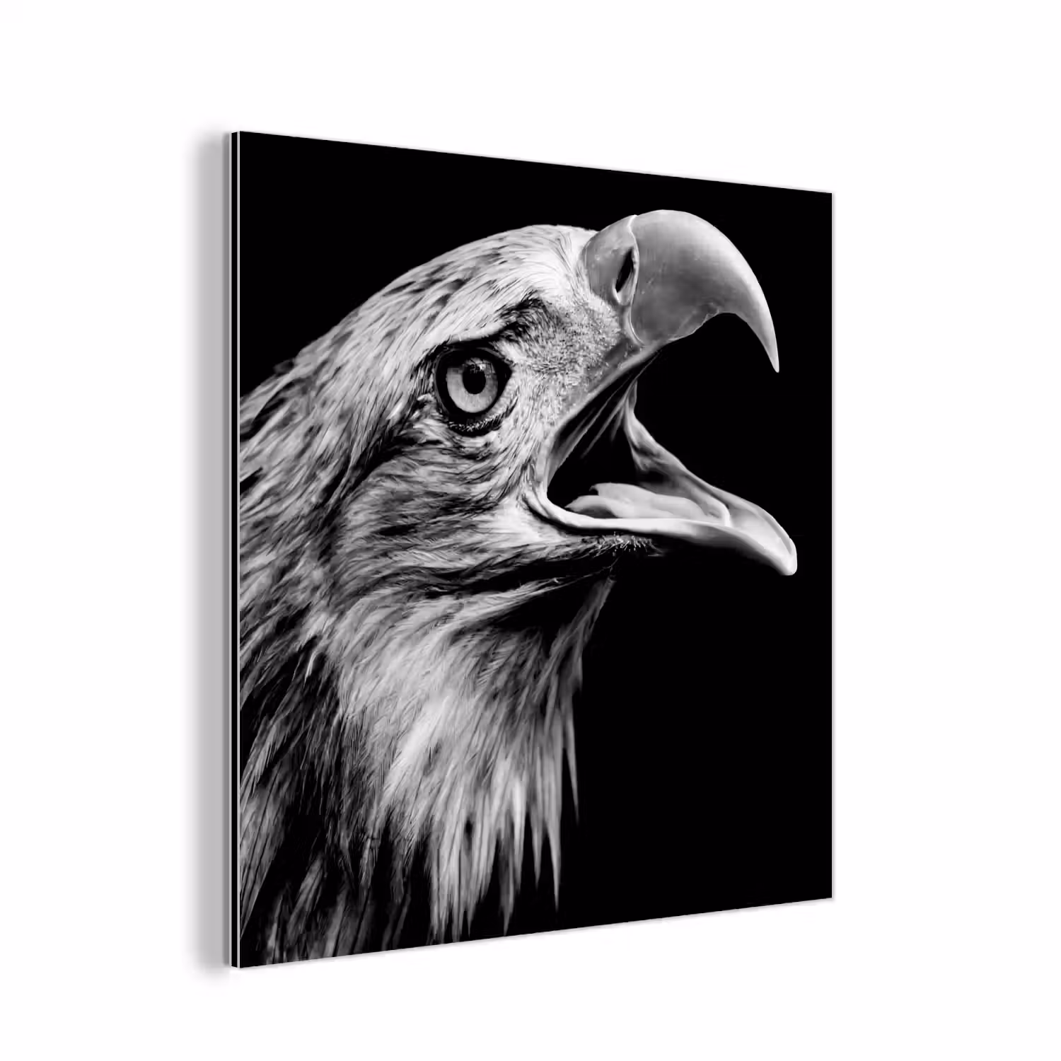Adelaar - Portret - Roofvogels - Zwart - Wit - Vogel aluminium wit klein -3d
