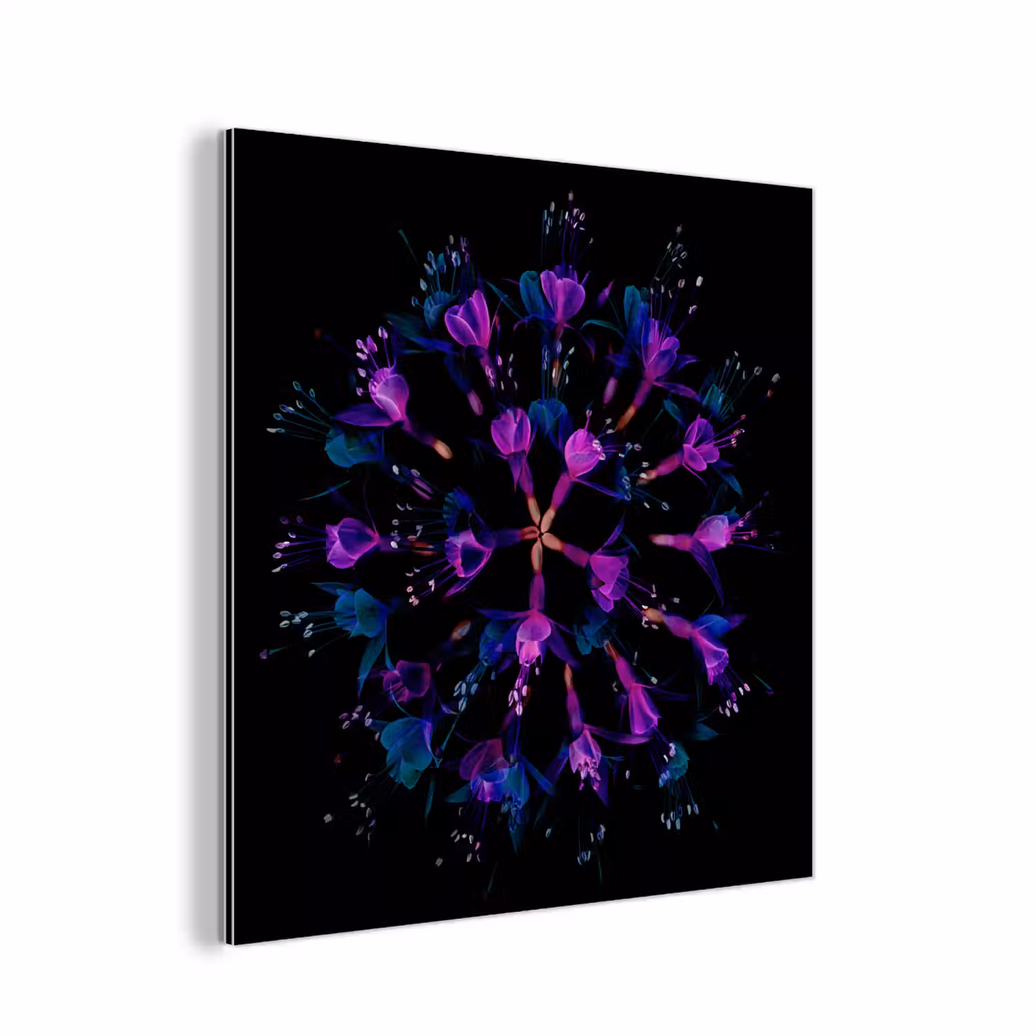 Bloem - Paars - Blauw - Macro - Zwart aluminium wit klein -3d