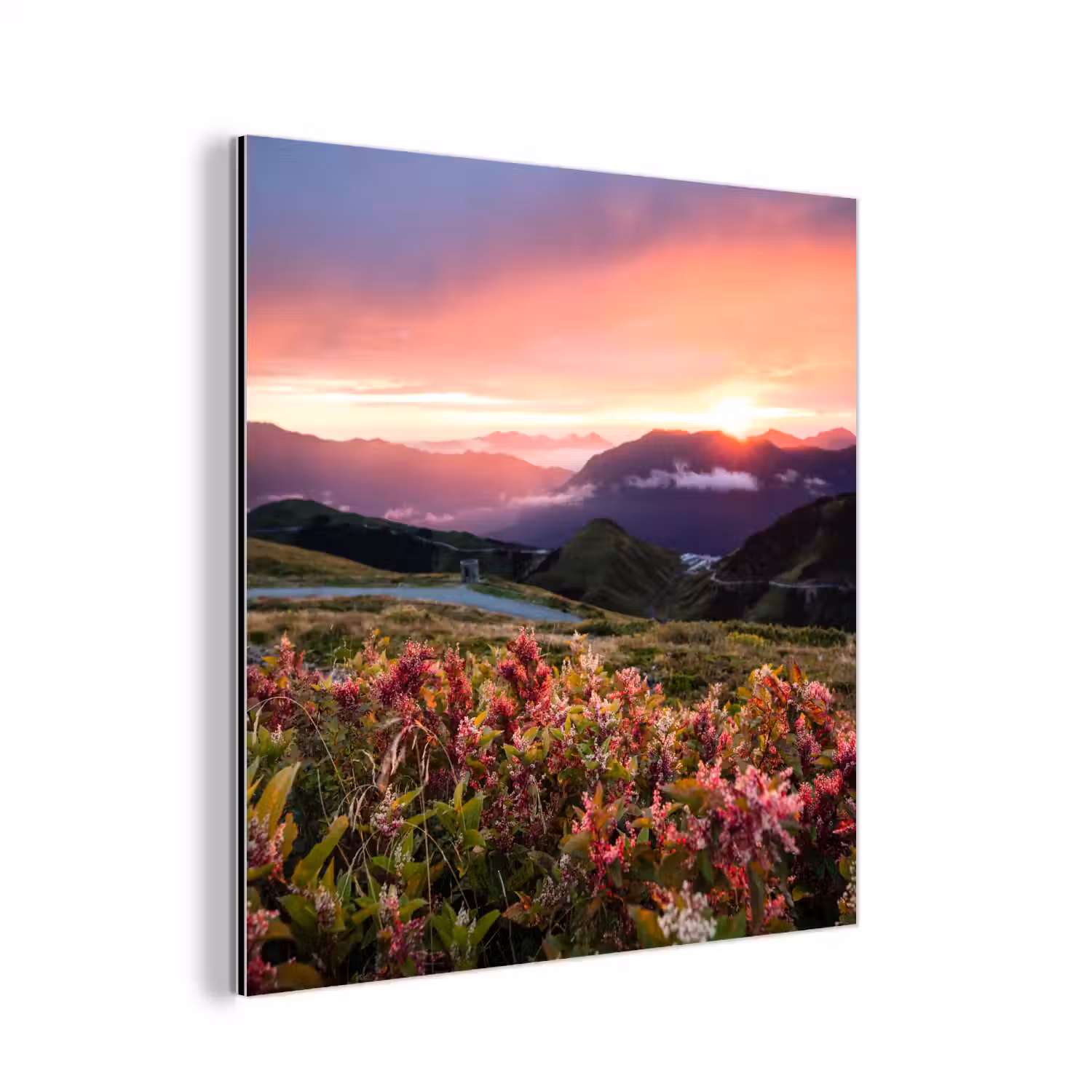 Bloemen - Bergen - Landschap - Nacht - Lucht - Roze aluminium wit klein -3d