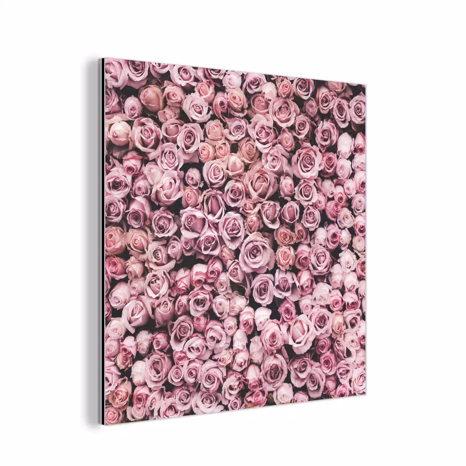 Bloemen - Rozen - Natuur - Roze - Botanisch aluminium wit klein -3d